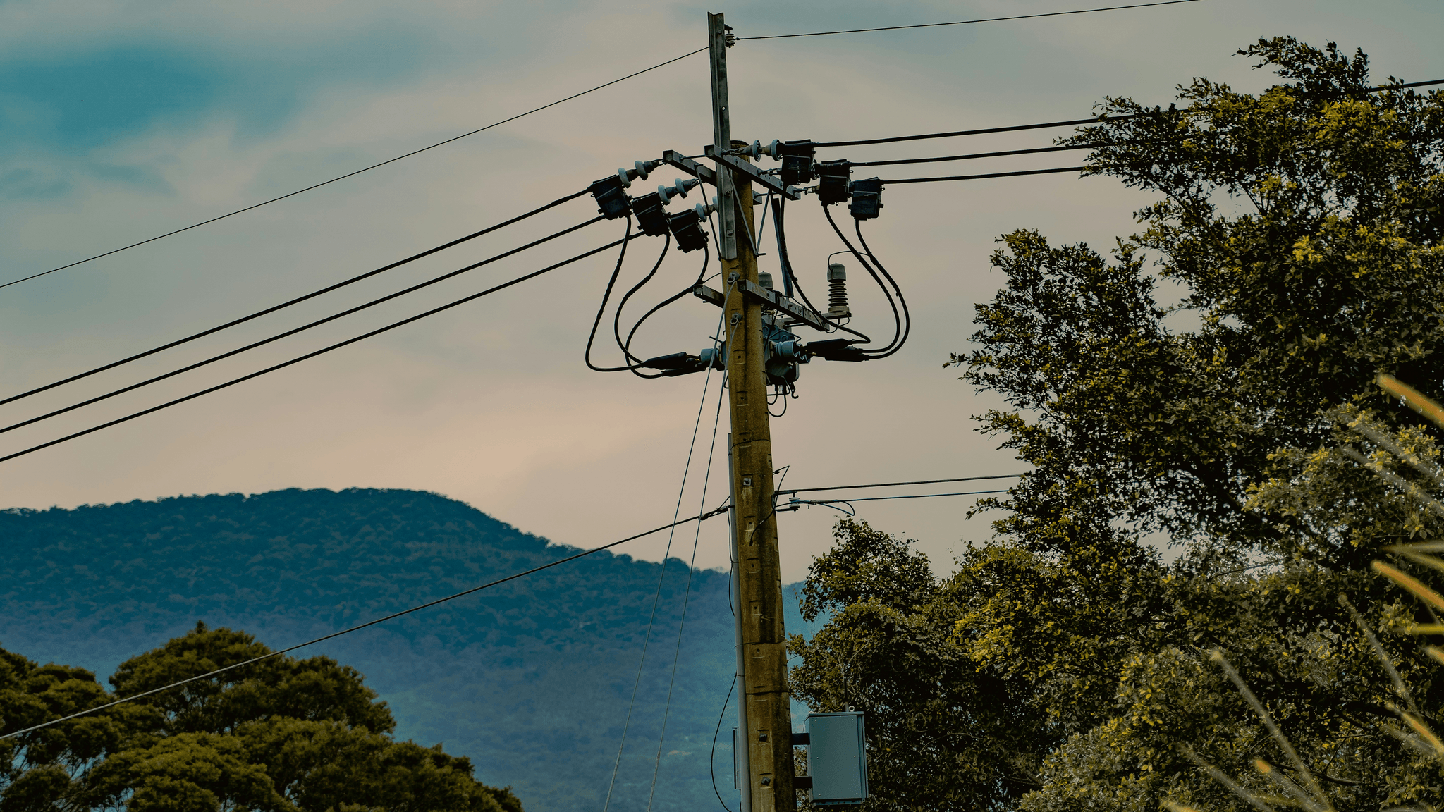 Illustration showing key parts of a power pole