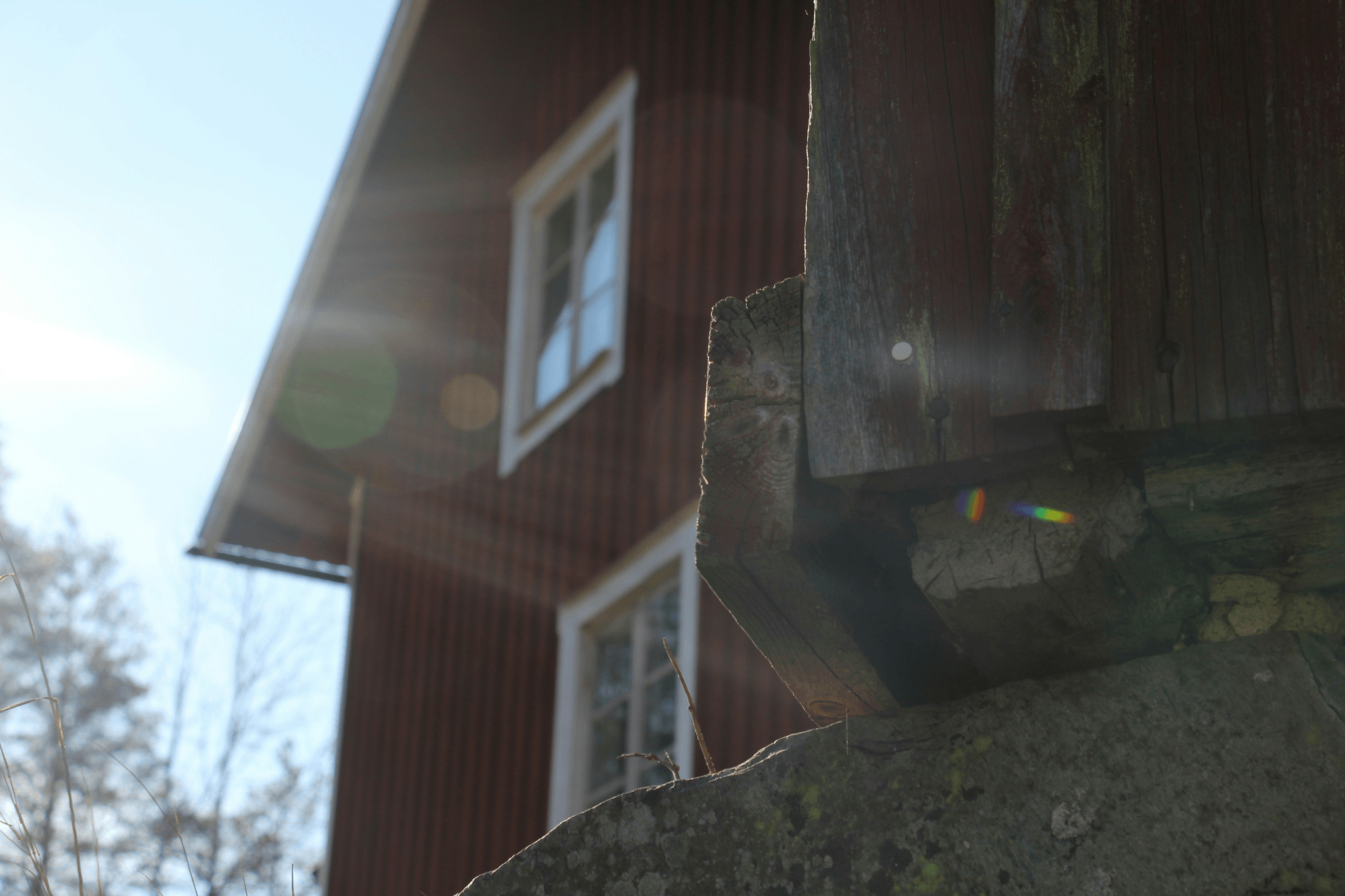 beautiful view showcasing charming apple houses blending with nature