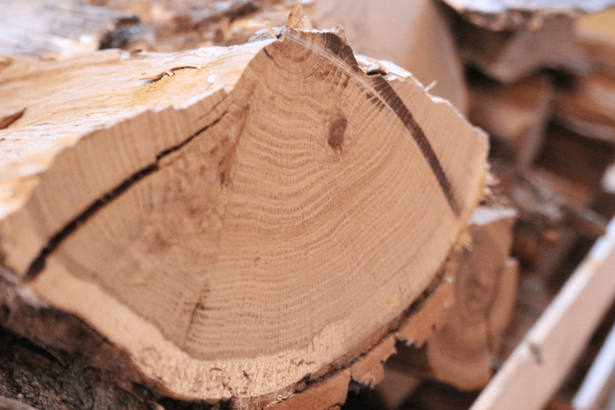 Wood manufacturing process flowchart showing logging, milling,drying stages.