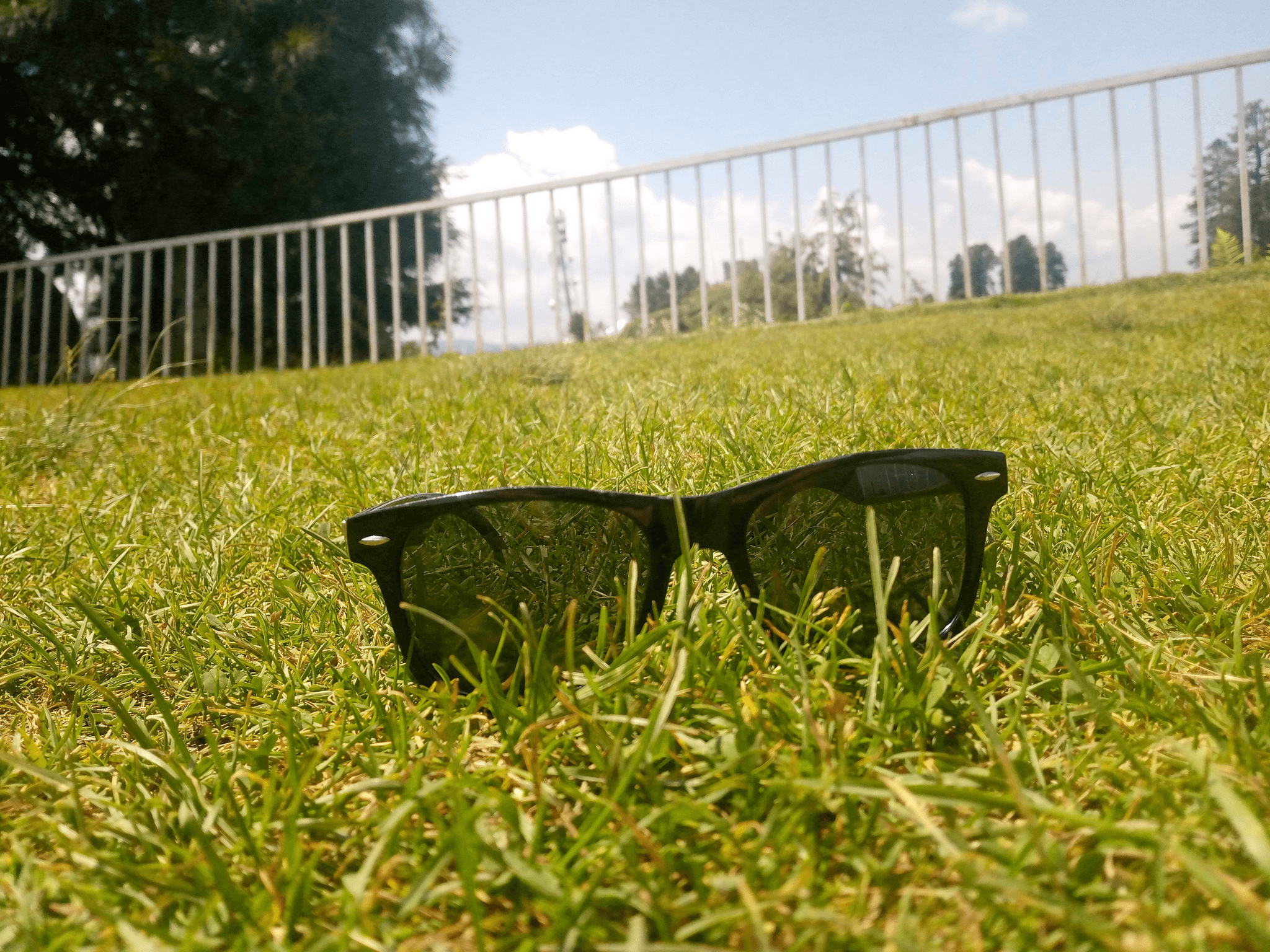 best tint for golf sunglasses selection including red lens sunglasses