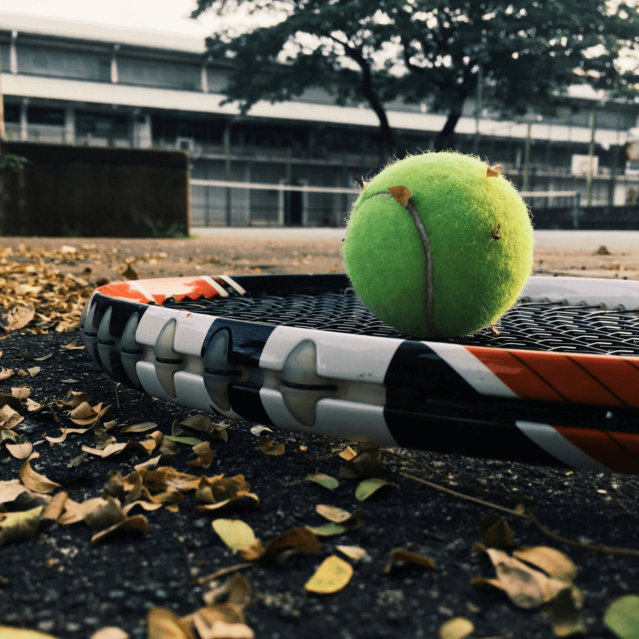Tennis Ball Inspection Rebound Testing Process