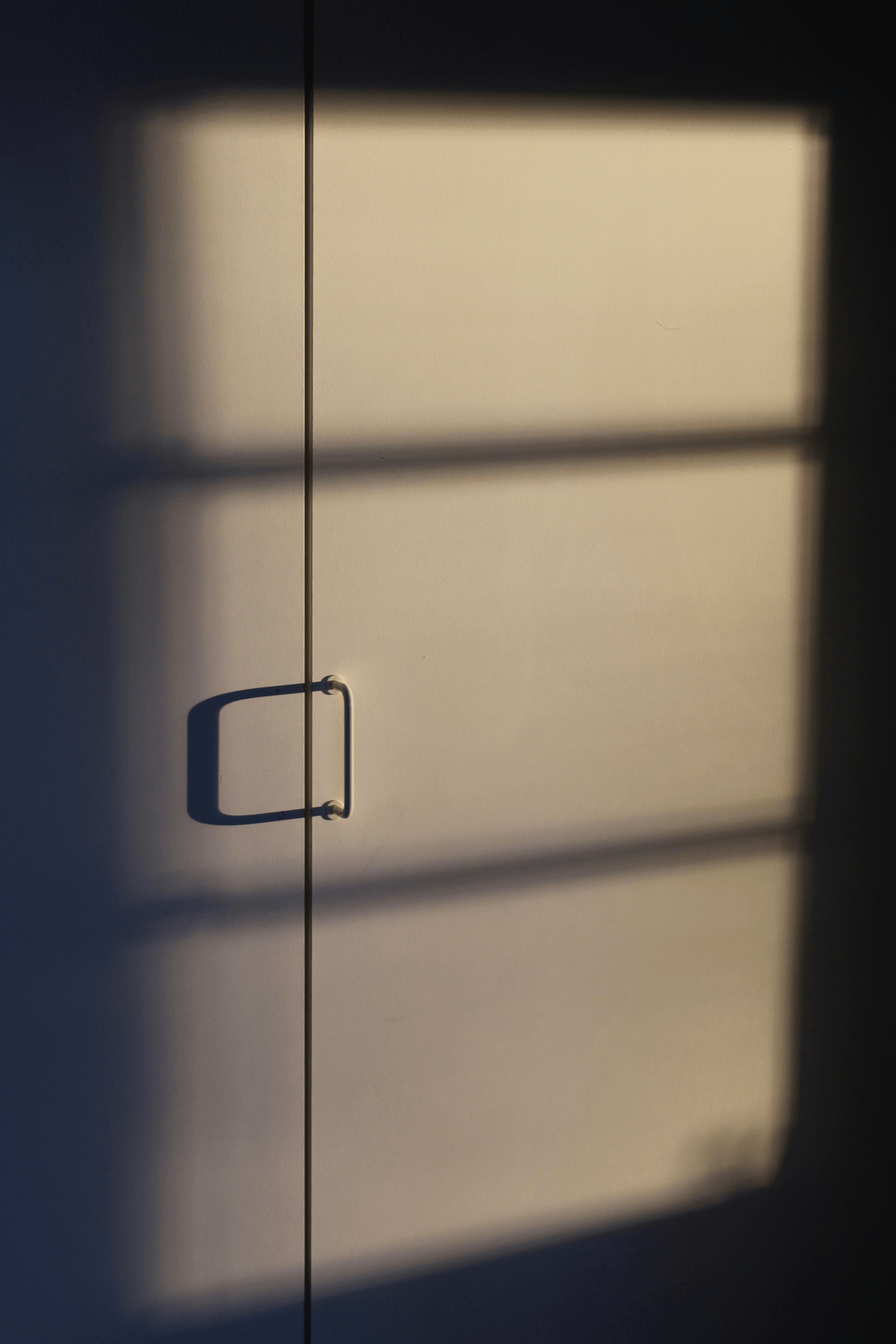 Enhance Your Closet with Stylish Handles on Mirrored Sliding Closet Doors