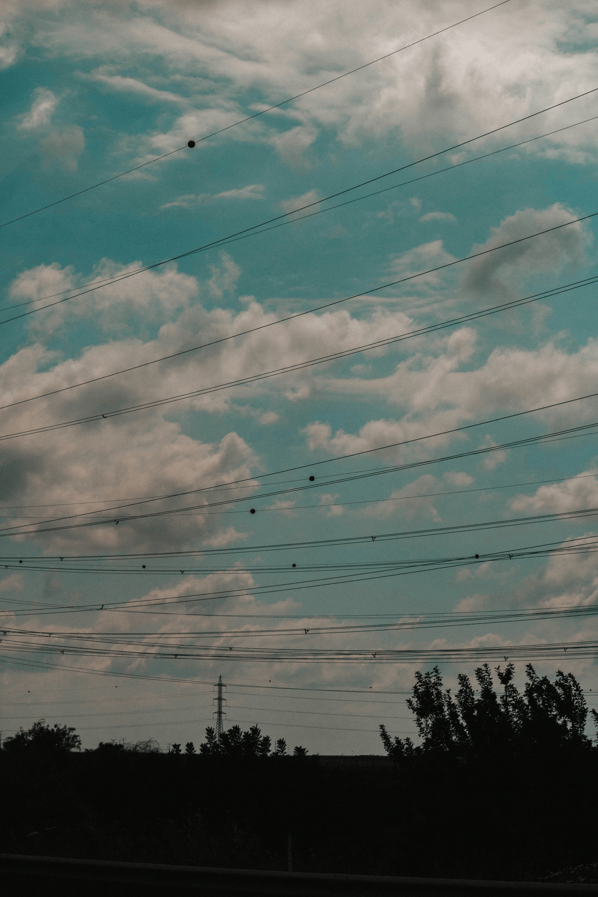 Colorful marker ball enhancing visibility on power line.