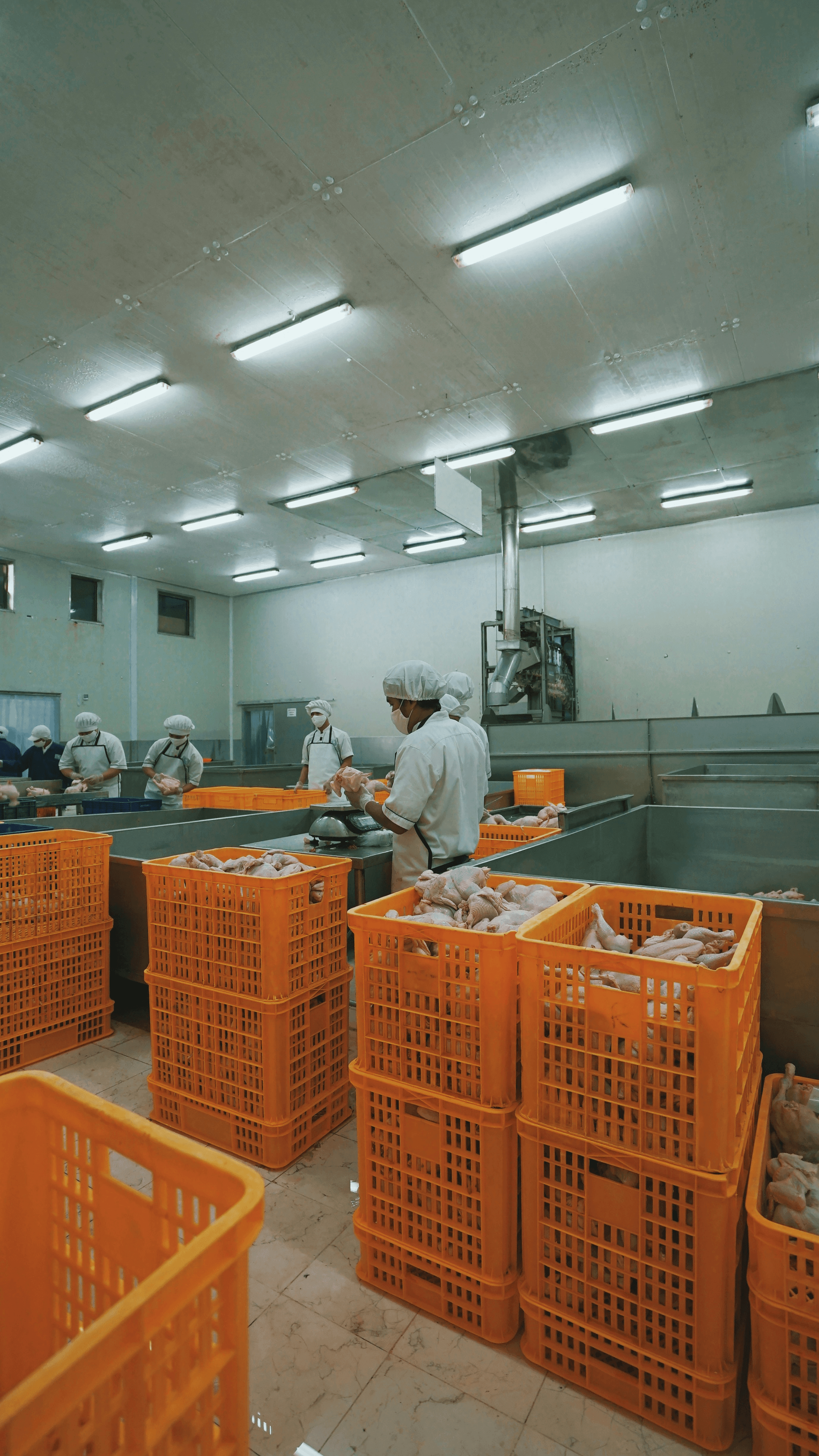 Factory Audit Checklist essential for food safety verification