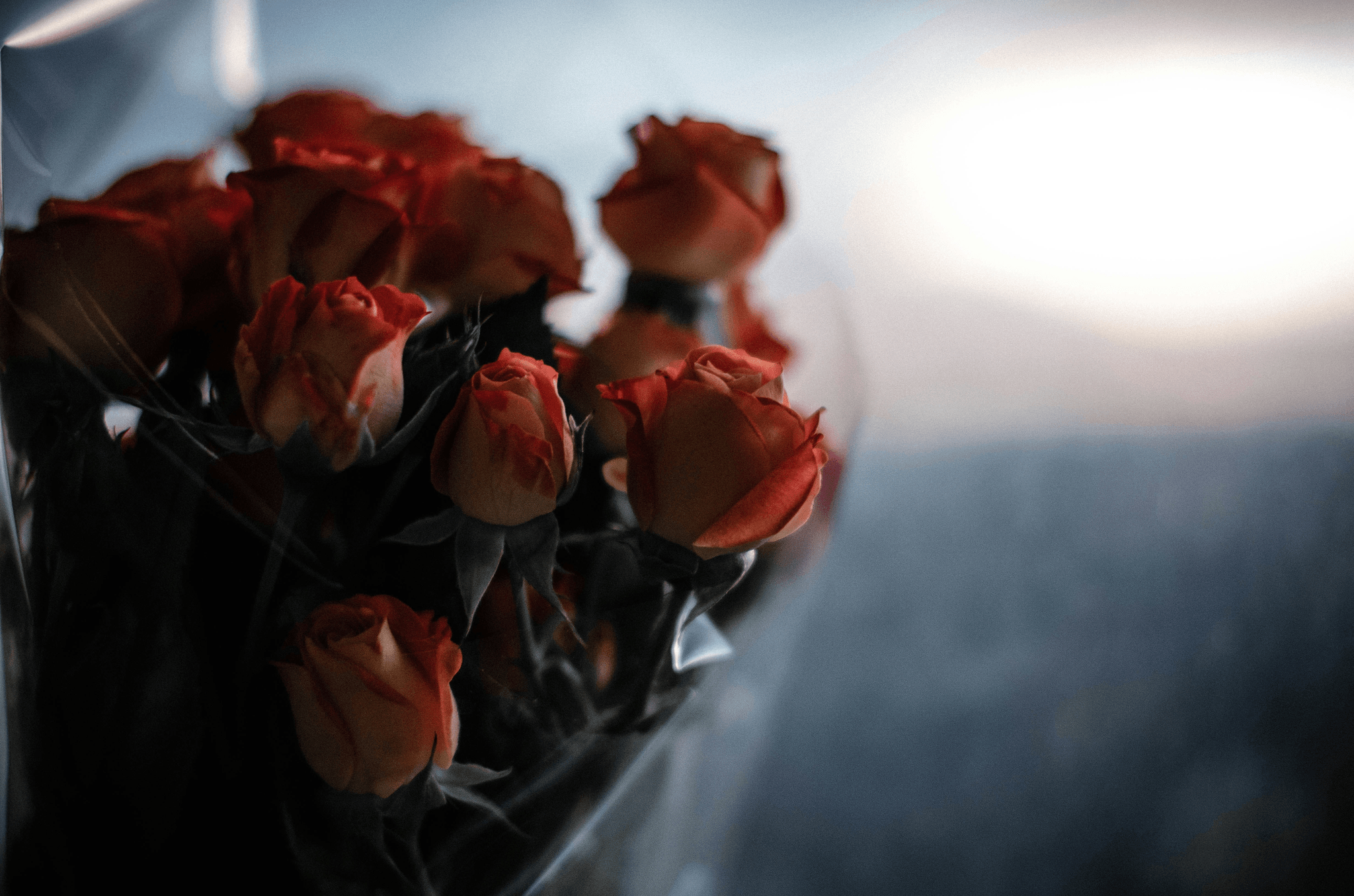 Interflora Melbourne red roses bouquet