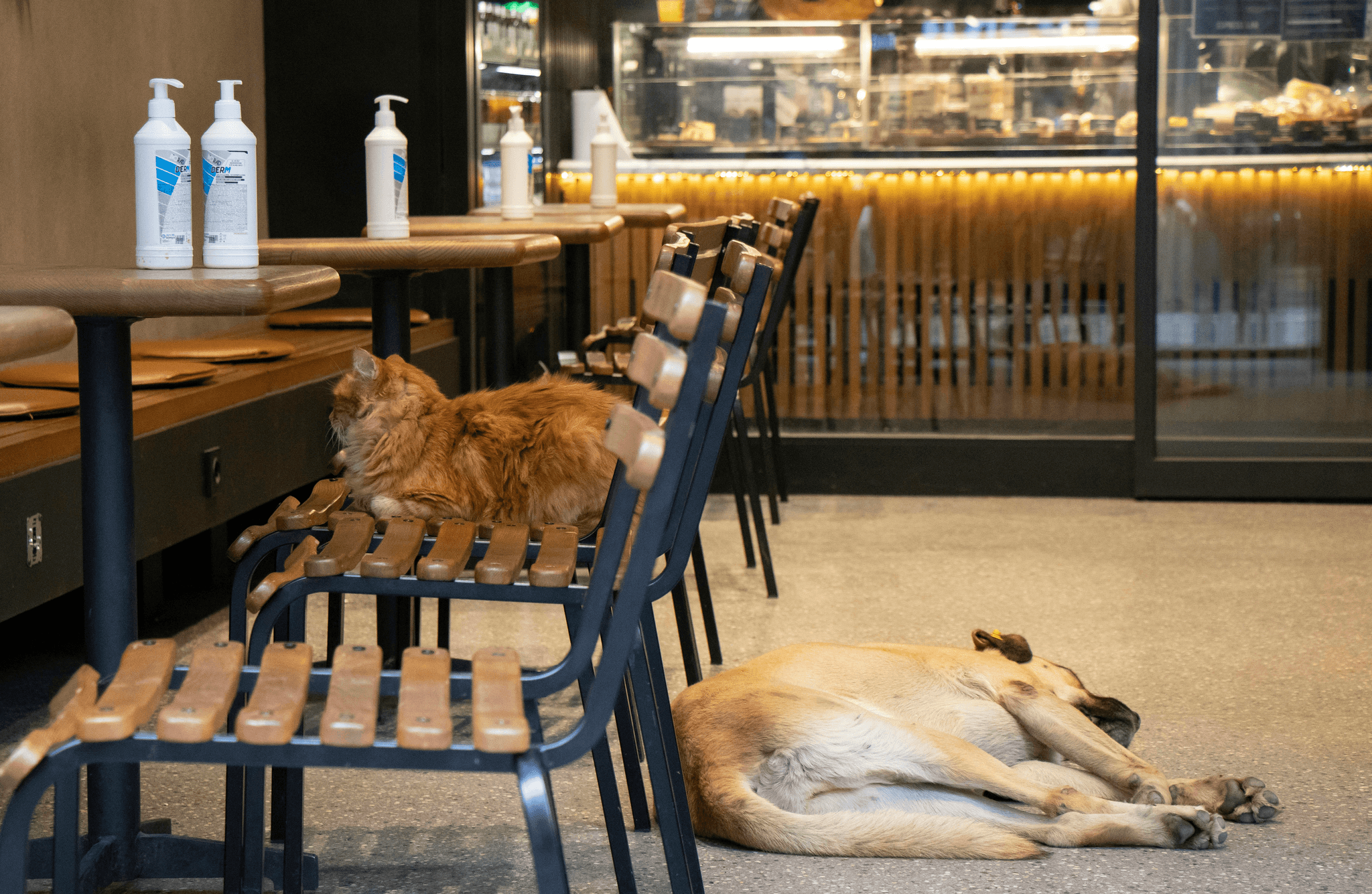 台灣、香港、日本場地租用文化大不同？｜場地租借小百科｜療寮生活館｜江子翠．板橋 活動場地 藝文空間