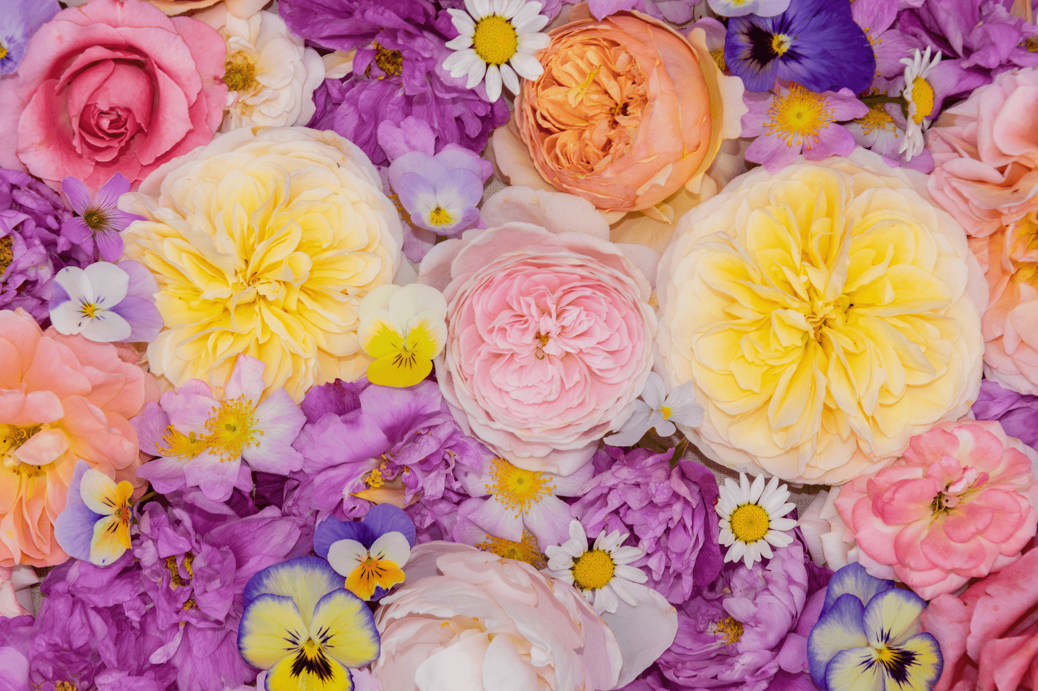 Flower Essence Therapy