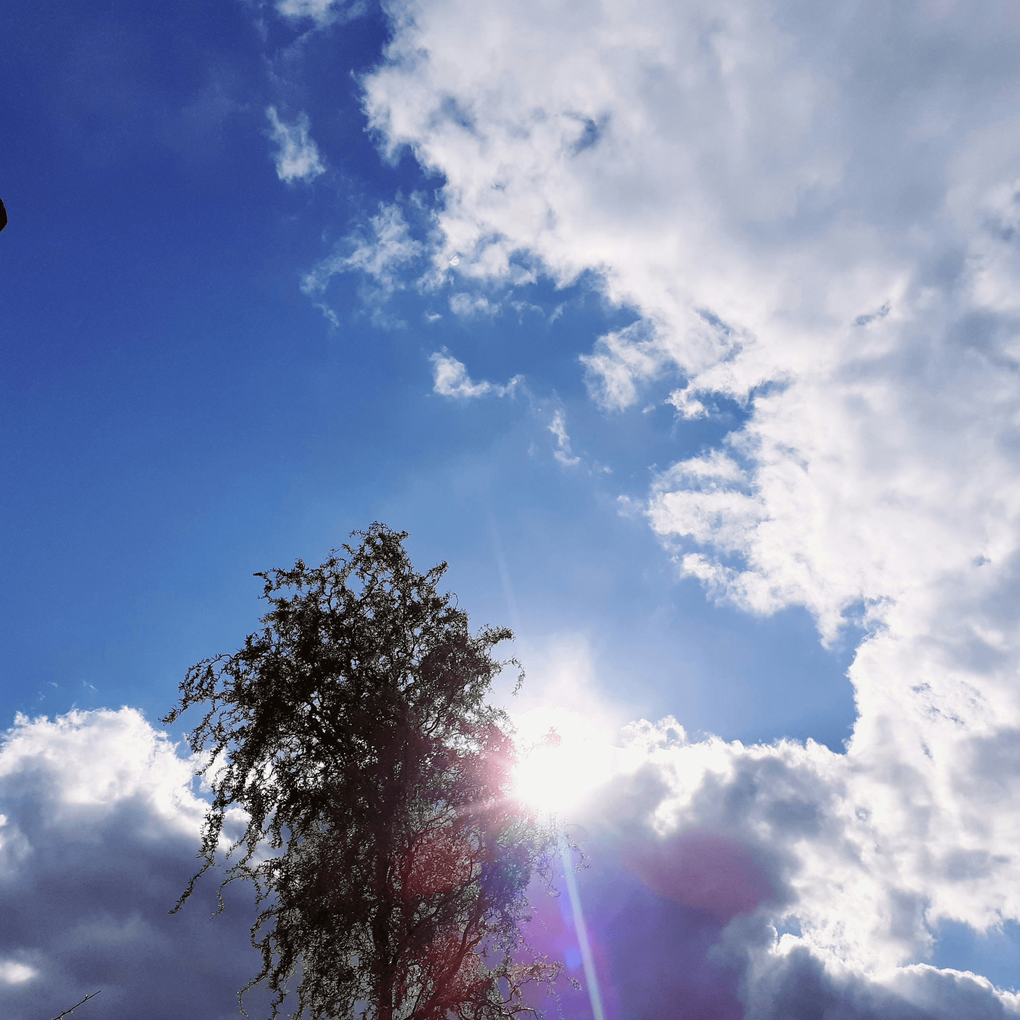 In order to proceed smoothly with complex procedures, we will provide careful support. Support of procedures Our company's service We provide specialized services to support everyone who is troubled by grave closure.