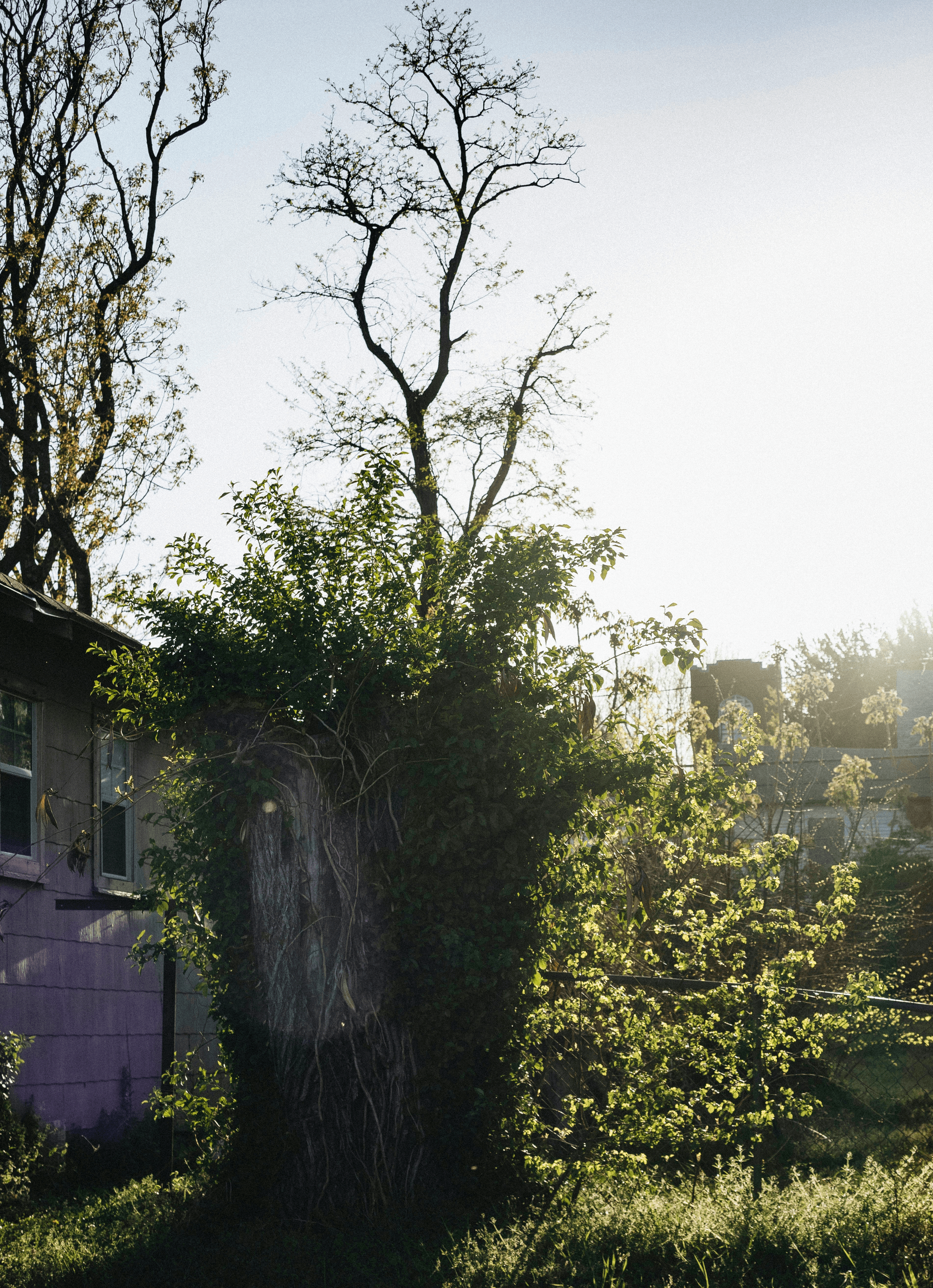 modern prefab house for sale in serene suburban setting