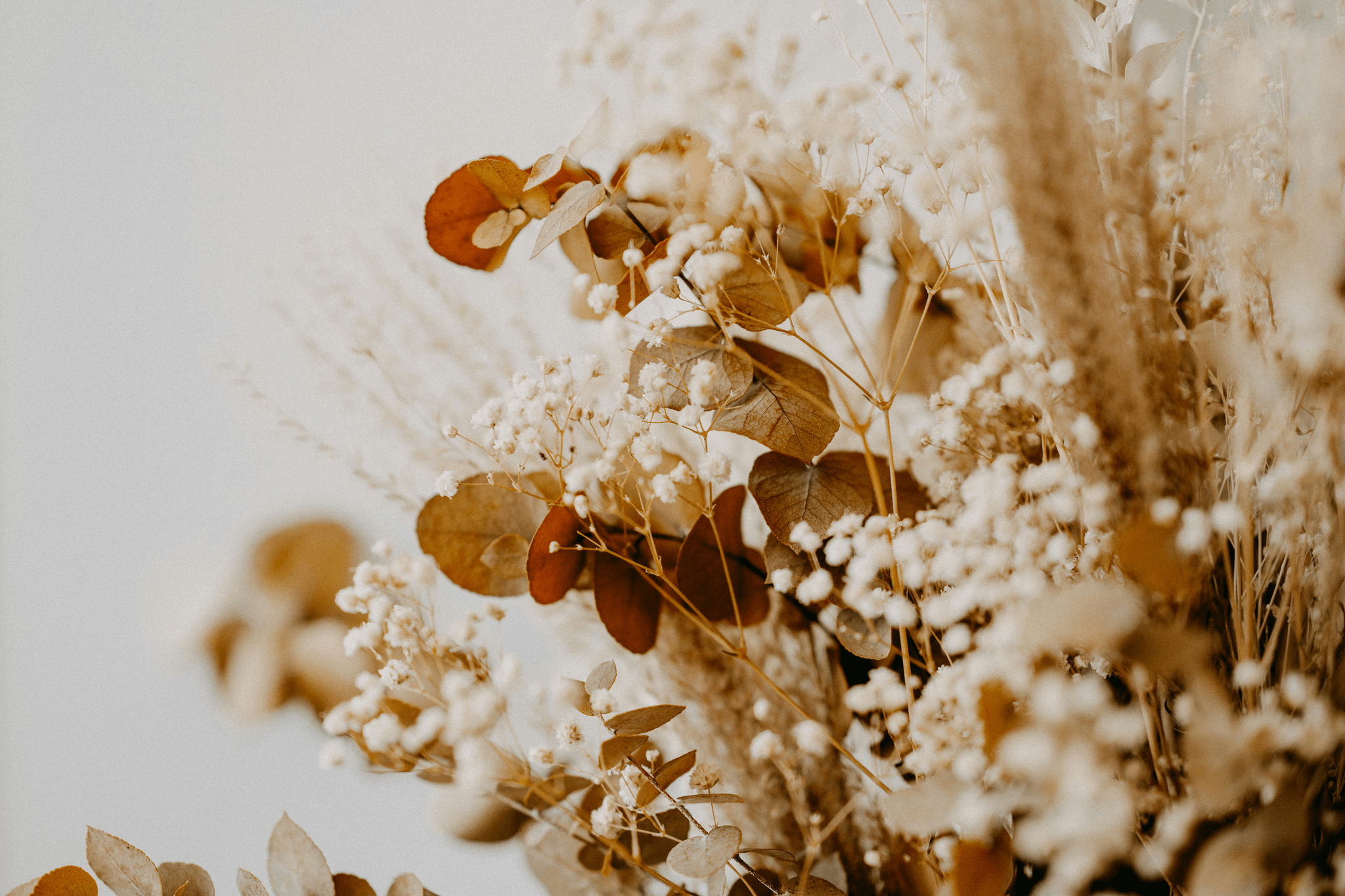 Dried flowers arrangement with roses, lavender, and eucalyptus.