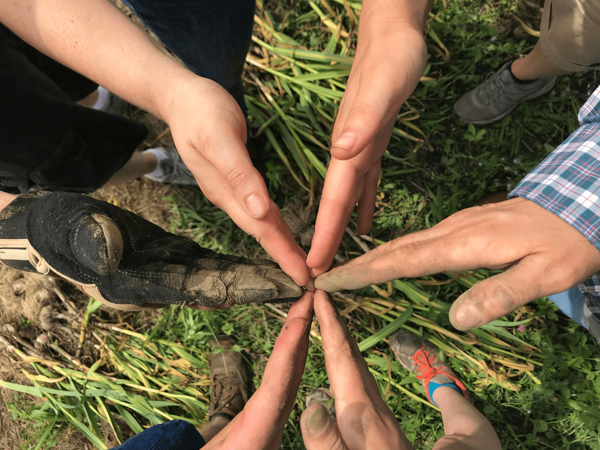 sustainability and procurement partnership handshake