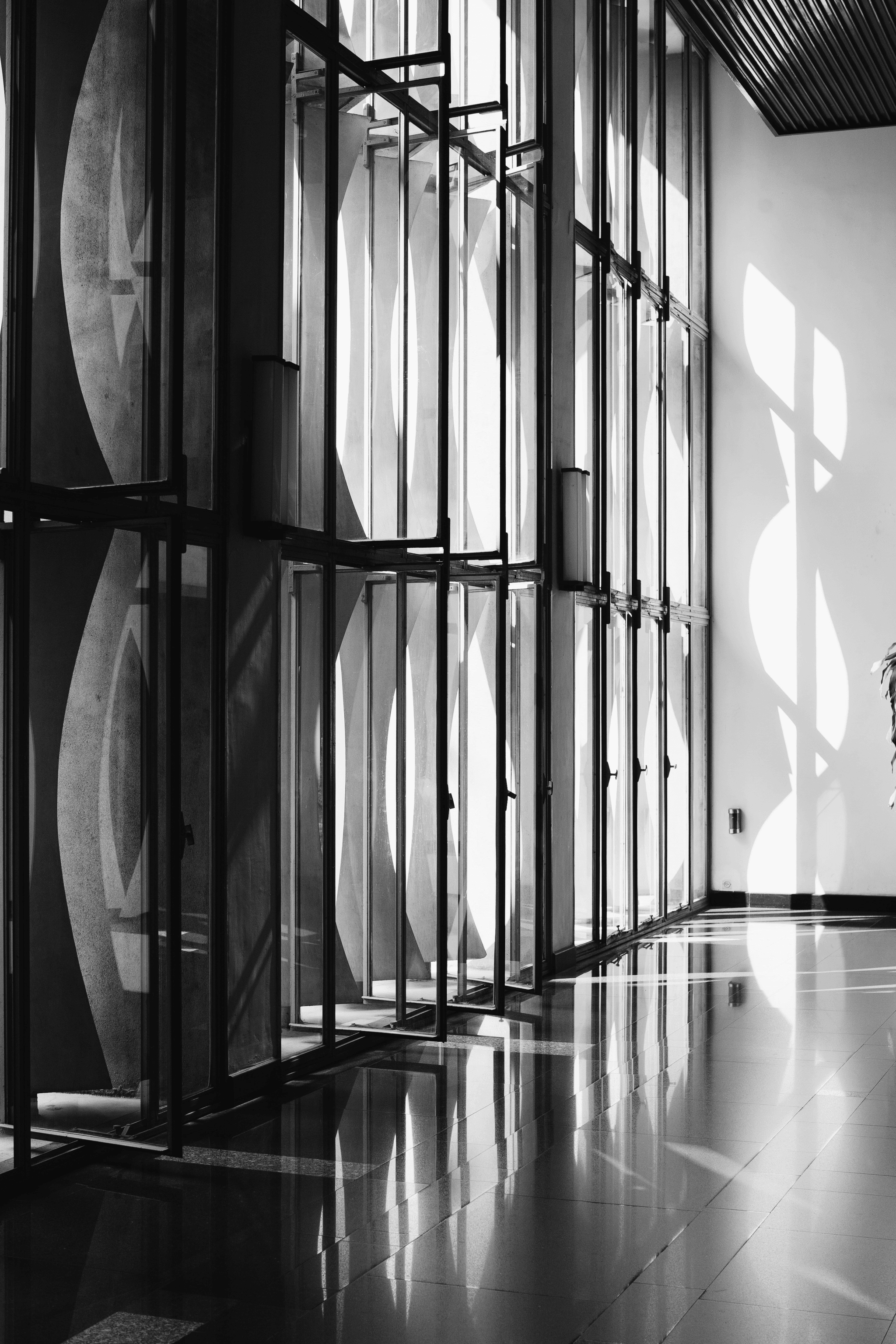 Curtain Wall Windows Illustration showcasing modern building design with sustainable features