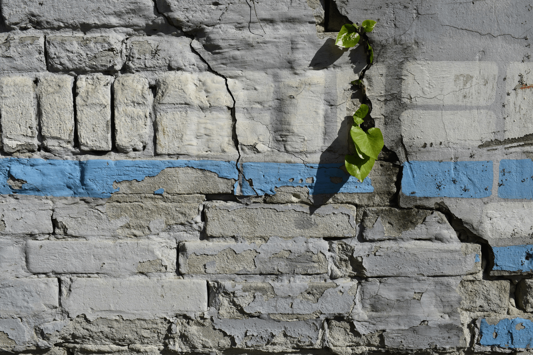 broken image
