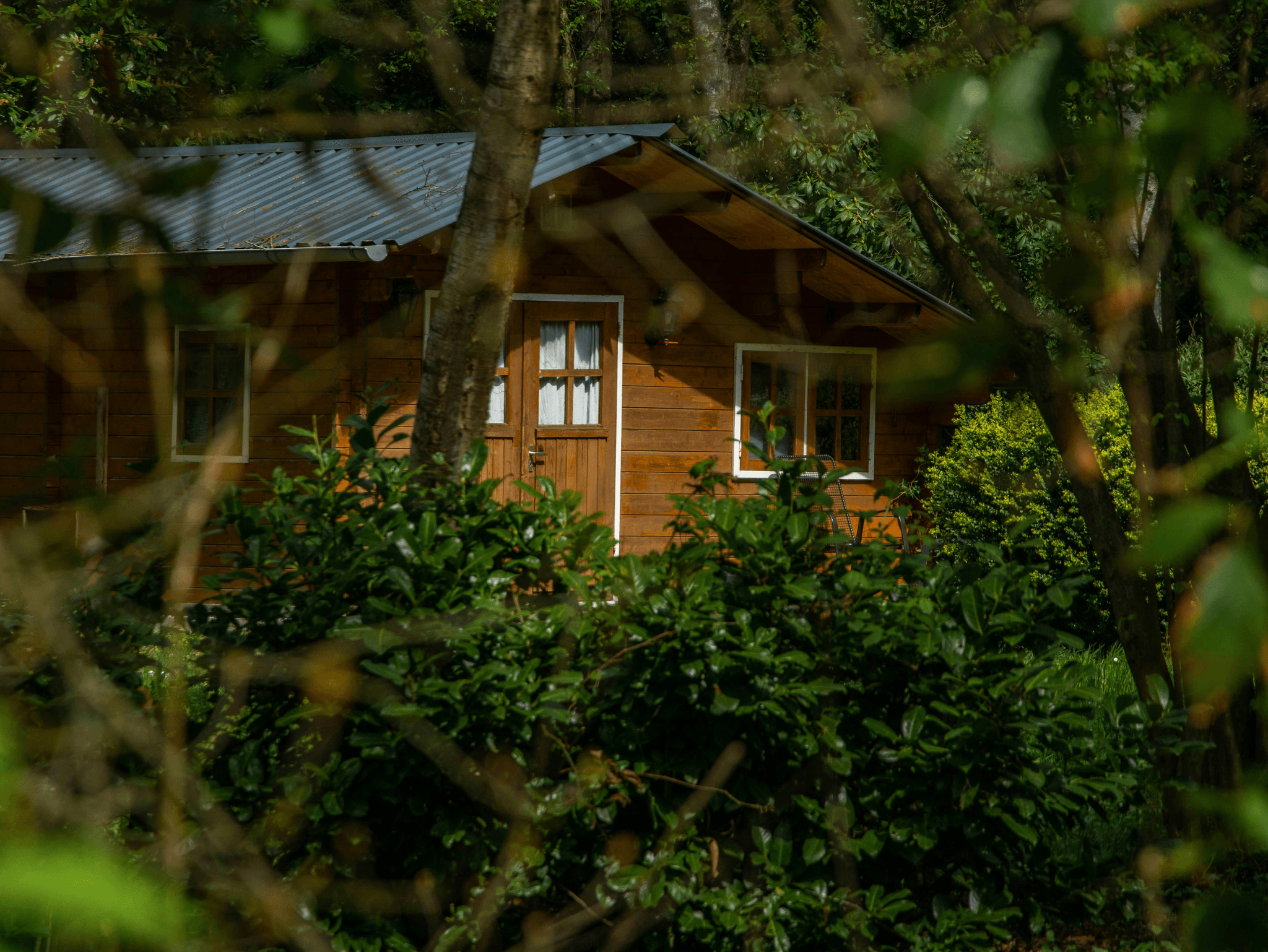 Stylish pre-built cabins under $50 000 nestled in nature