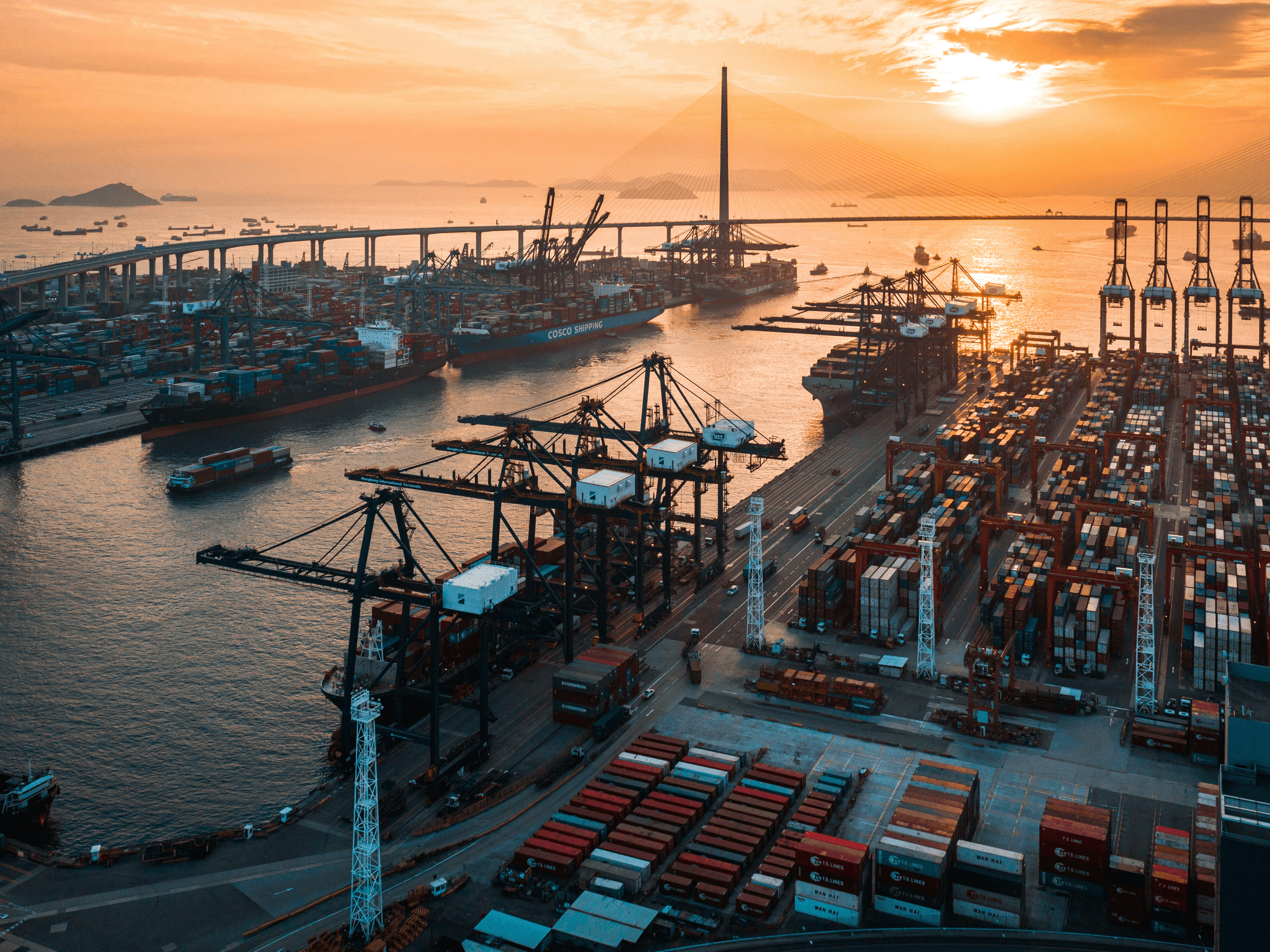 china shipping ports bustling activity