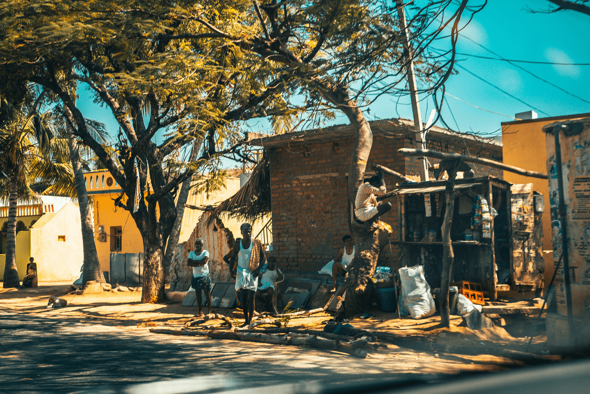 Happy people embracing sustainable living in various types of tiny homes