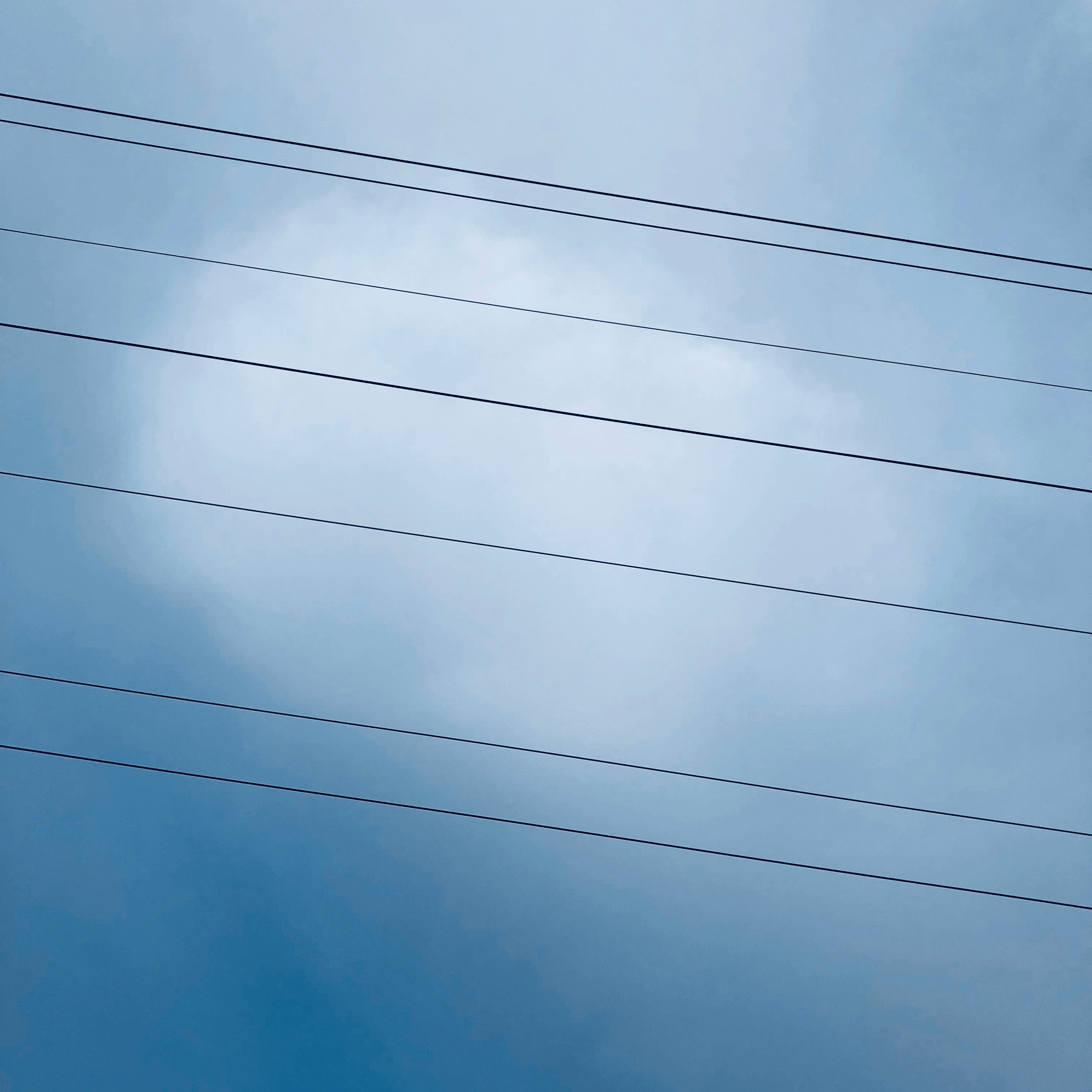 Colorful marker ball enhancing visibility on power lines.