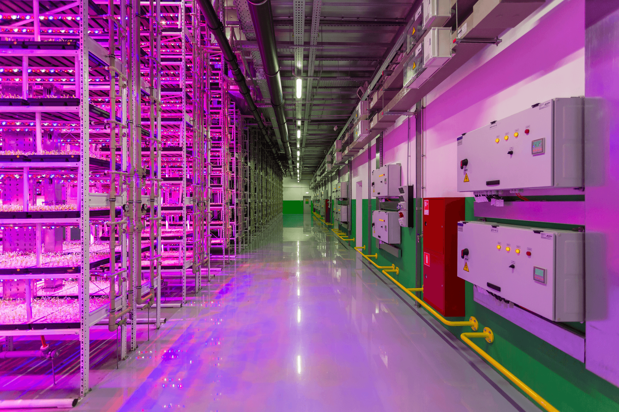 Renewable energy integration for sustainable data center cooling methods