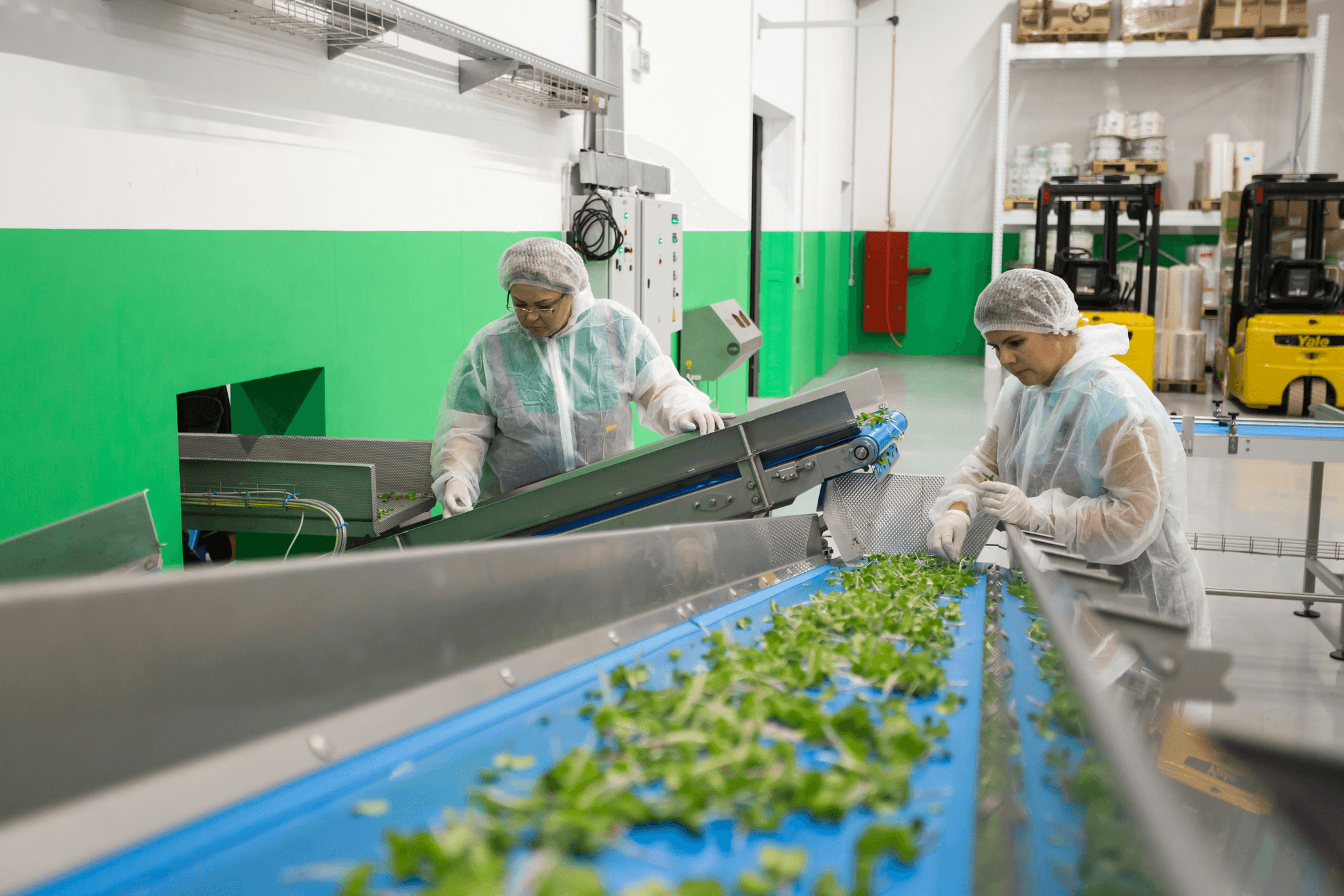 Ensuring qc in food industry through effective process control strategies.