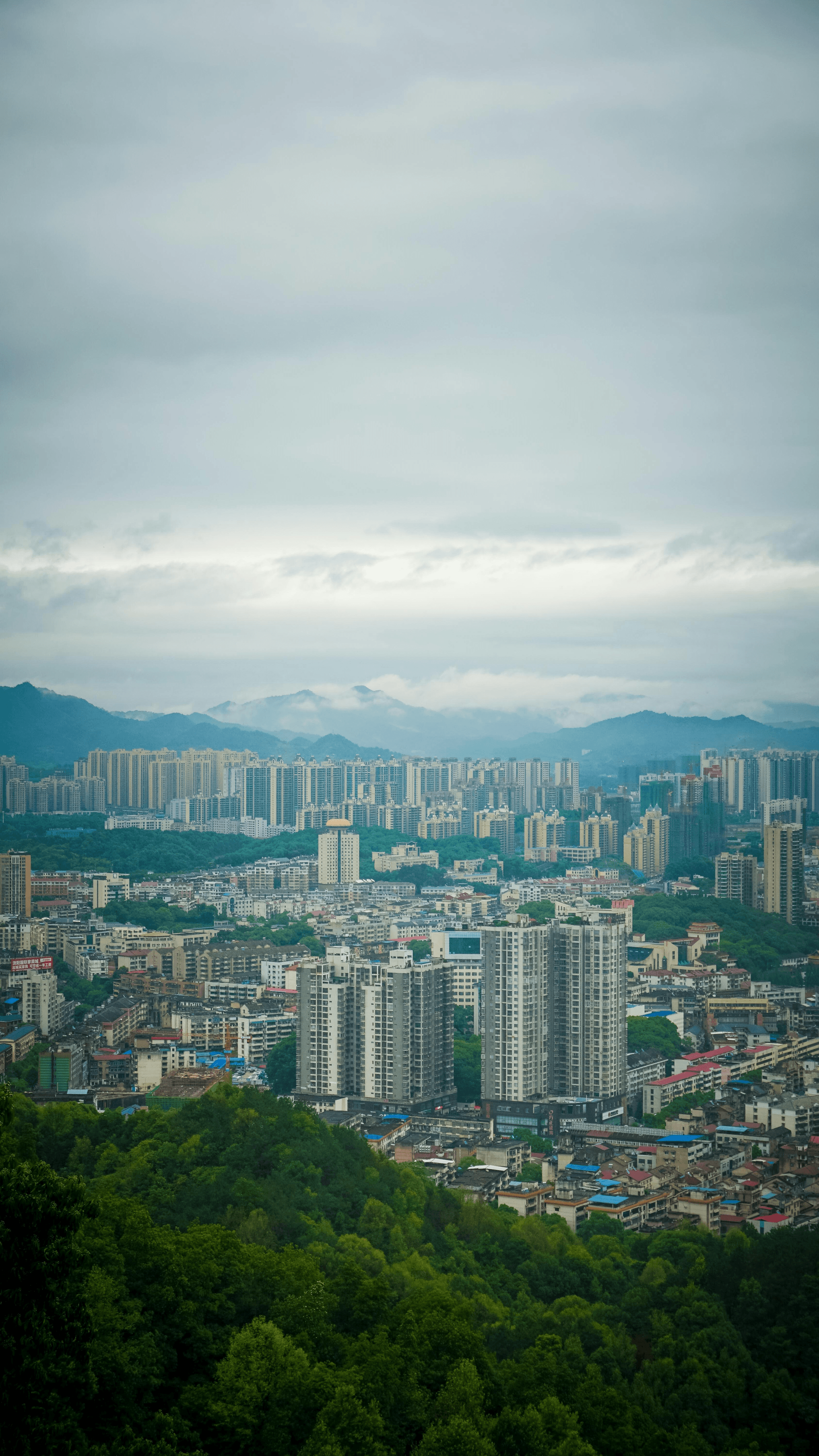 foshan sourcing opportunities highlighted by city skyline