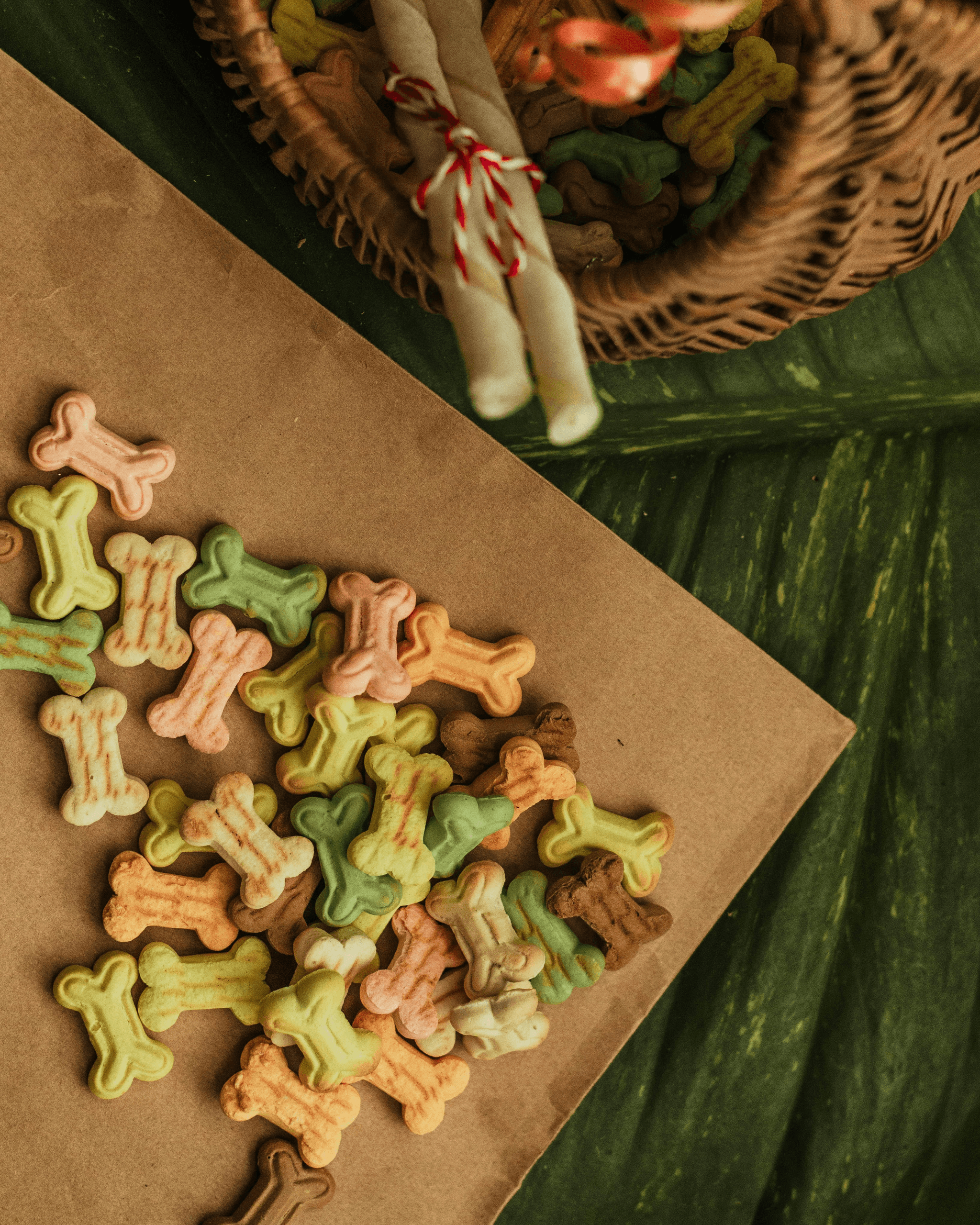 Pet Product Quality Control essentials like toys, food treats