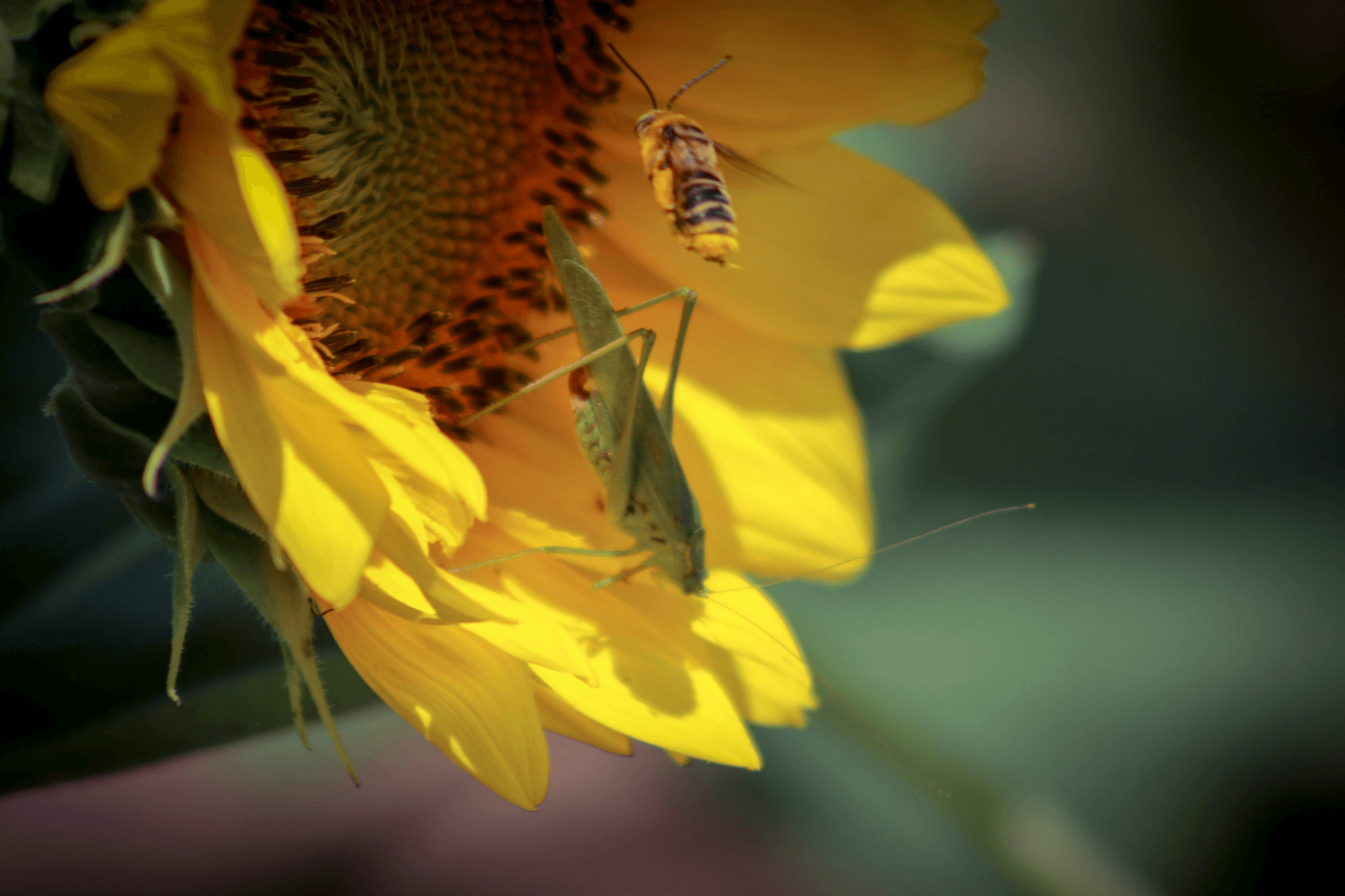 Gestalten mit Stein Region Thun