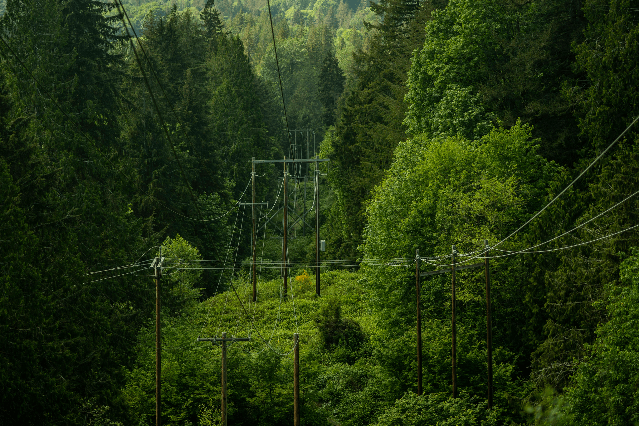 overhead power line guards protecting electrical infrastructure