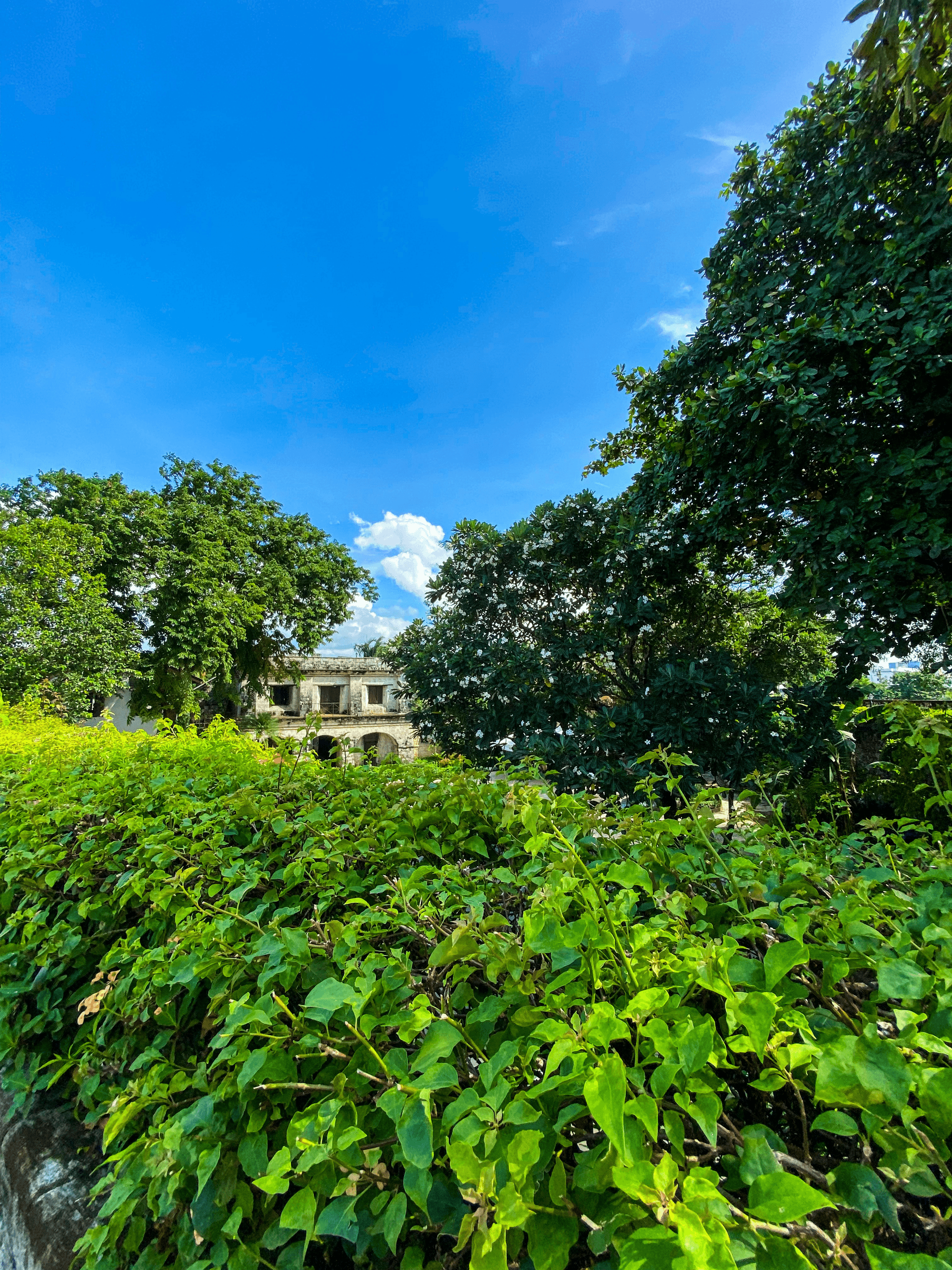 sustainable procurement and environmental protection imagery