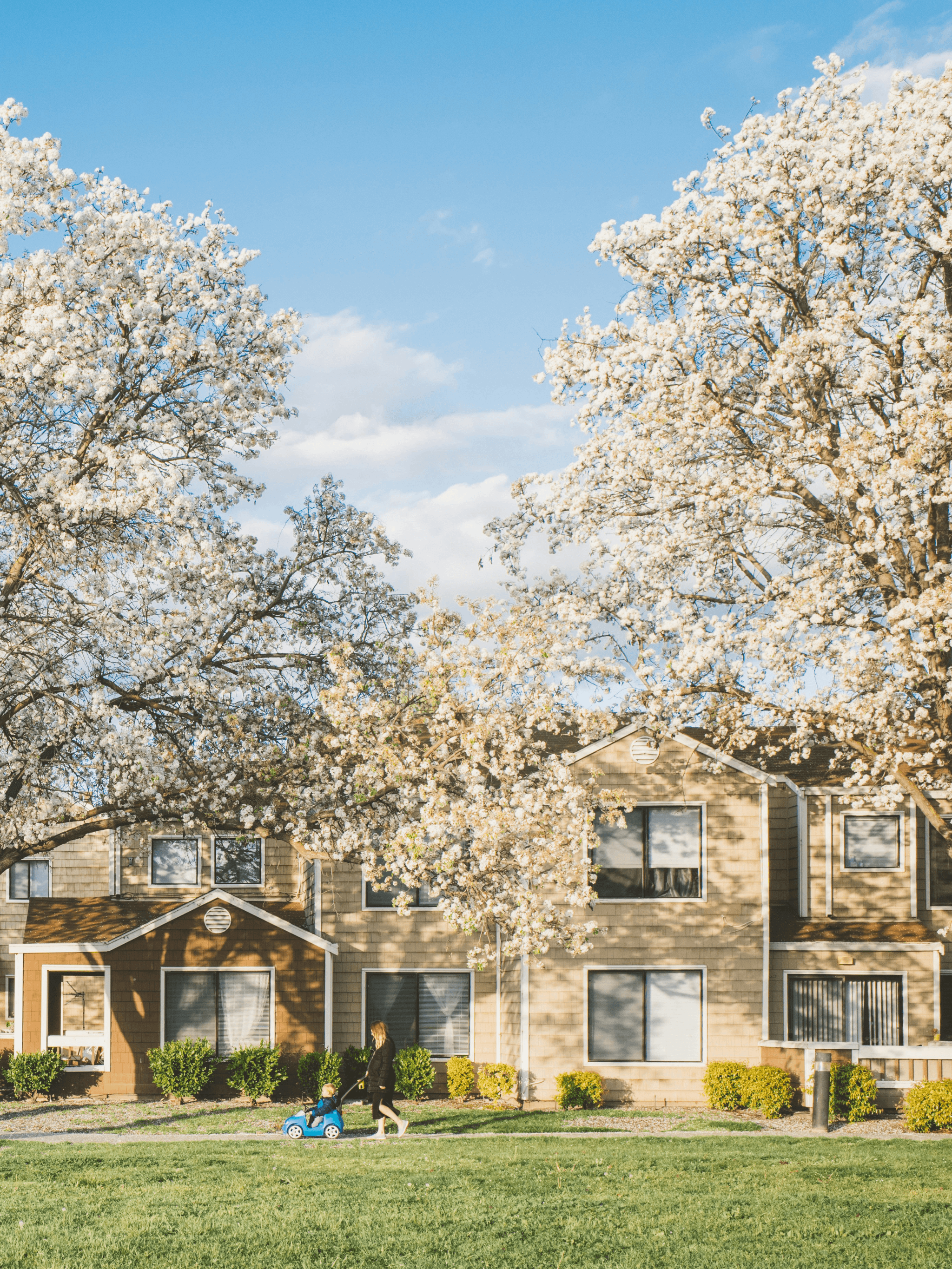 Mobile Homes for Sale - Safe and Well-Maintained Neighborhood