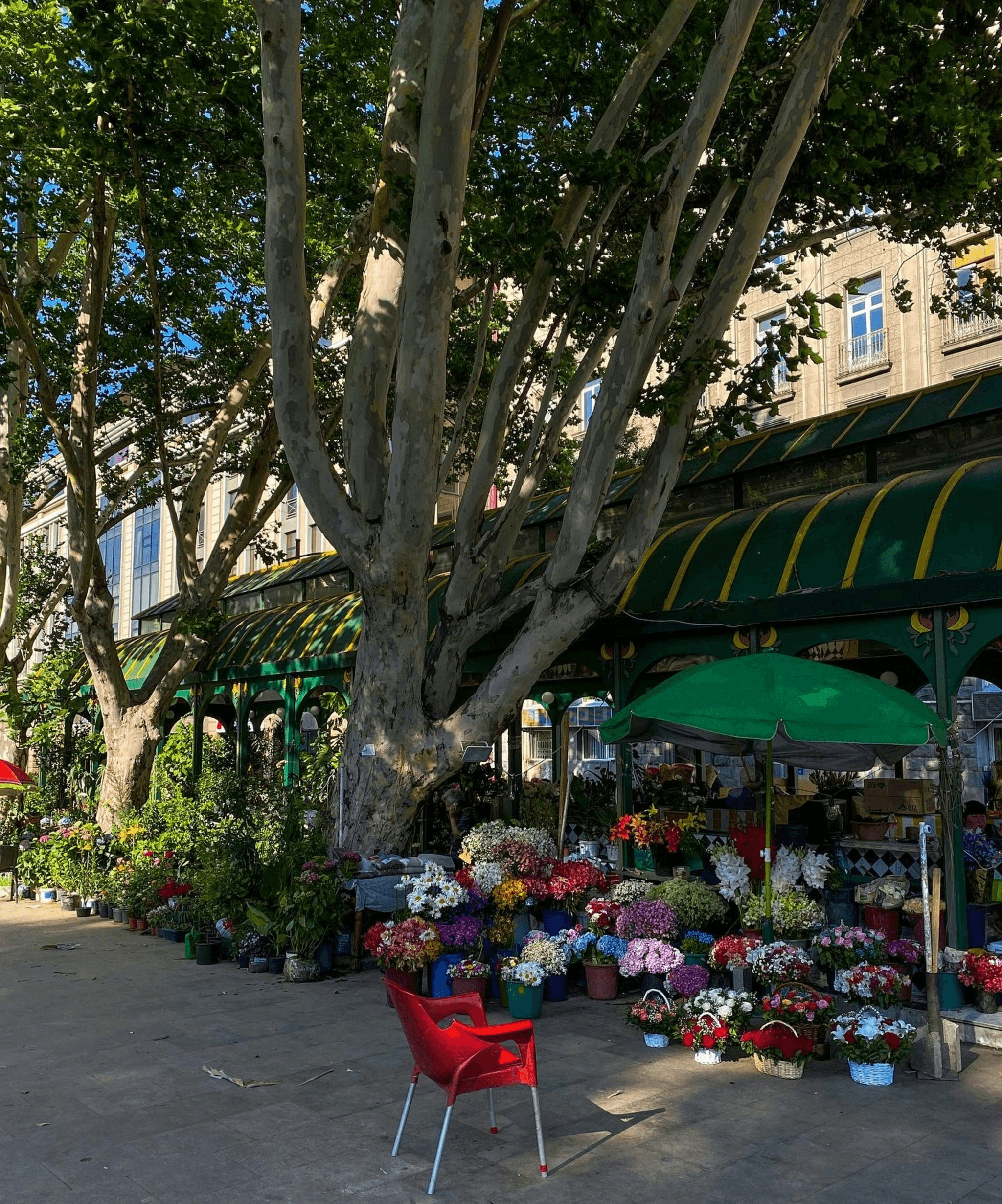 Innovative container designs for business showcasing sustainability