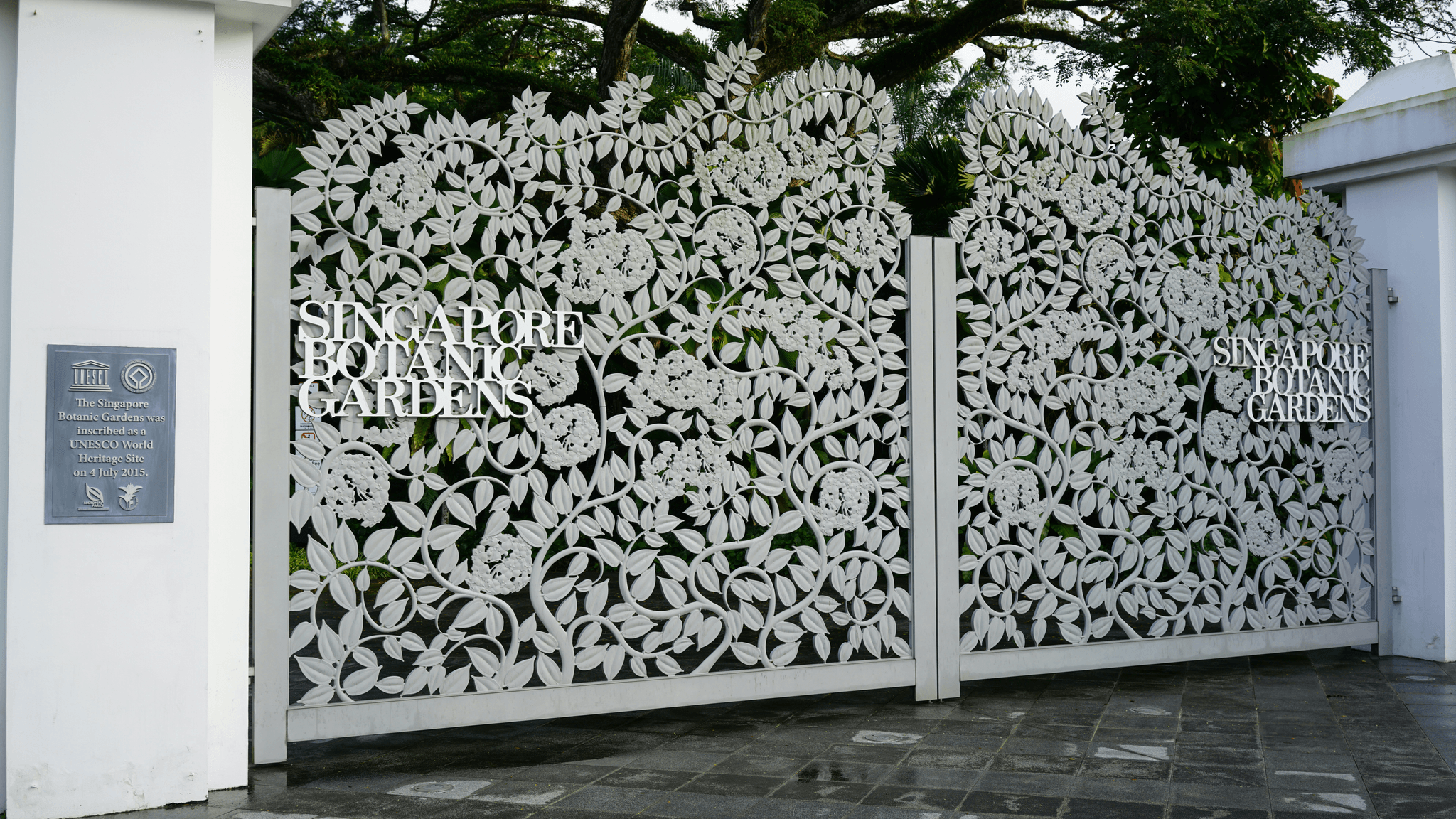 inexpensive fencing ideas for stylish backyard transformations