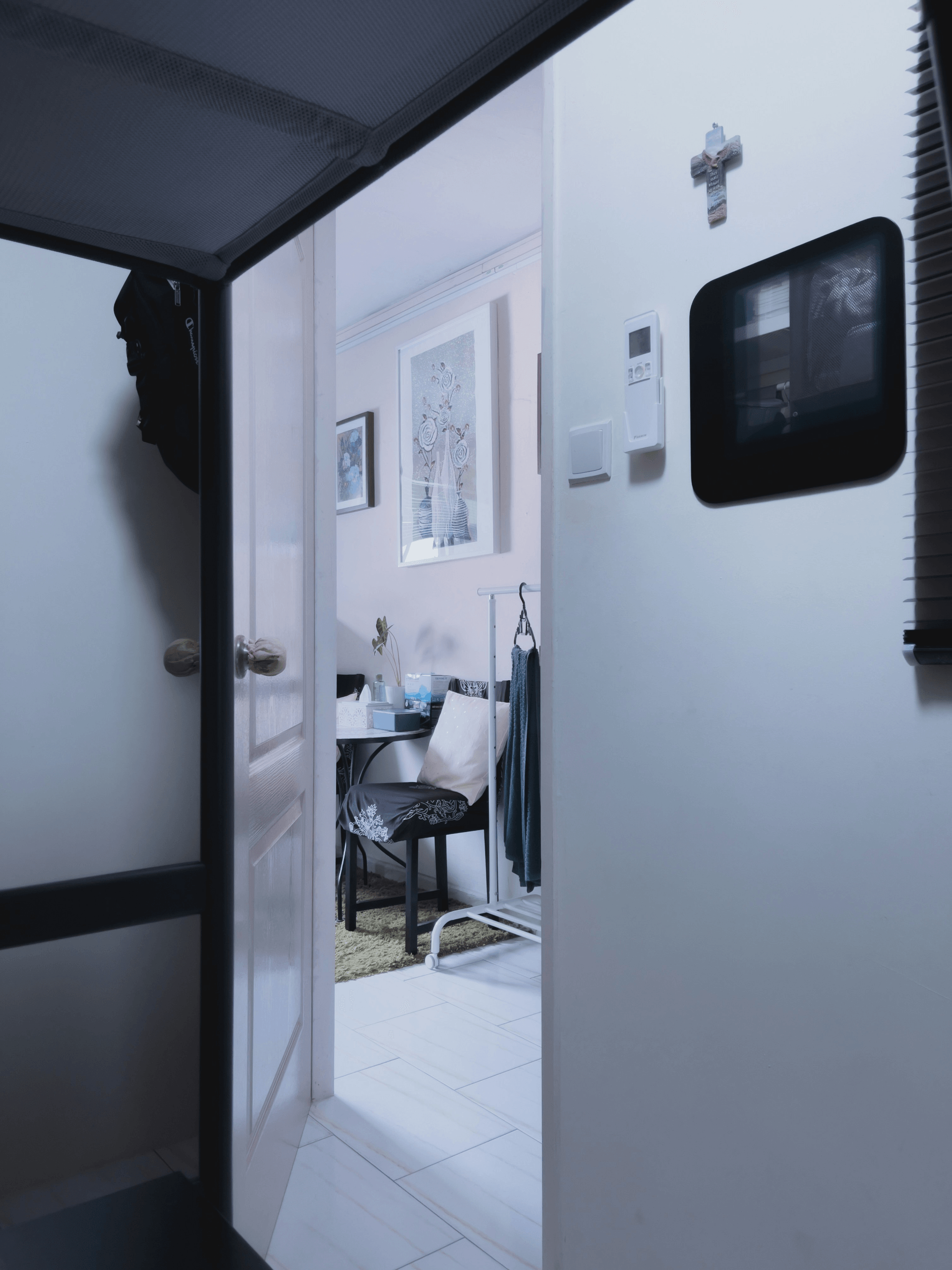 Modern customizable features of capsule homes