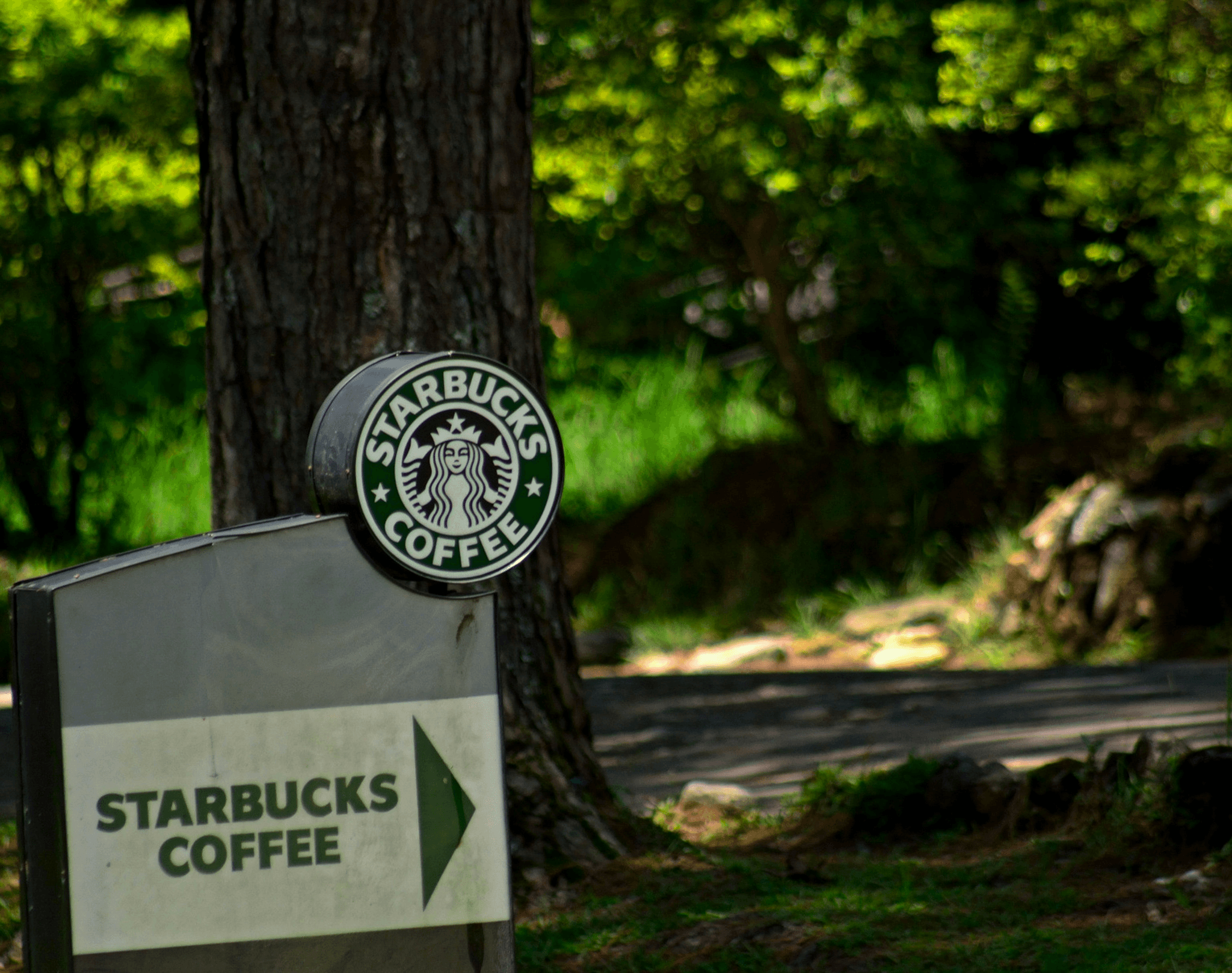 what is ethical sourcing illustrated through brands like Patagonia and Starbucks