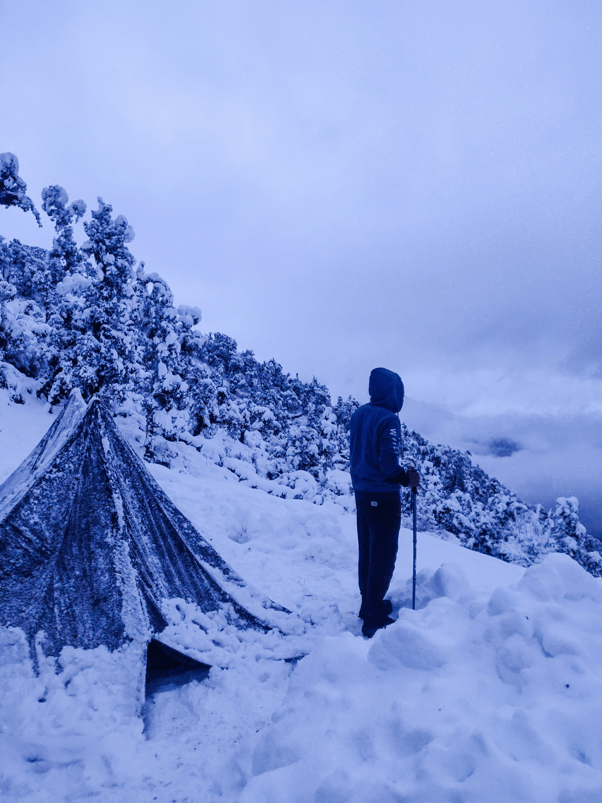 camping nature en hiver