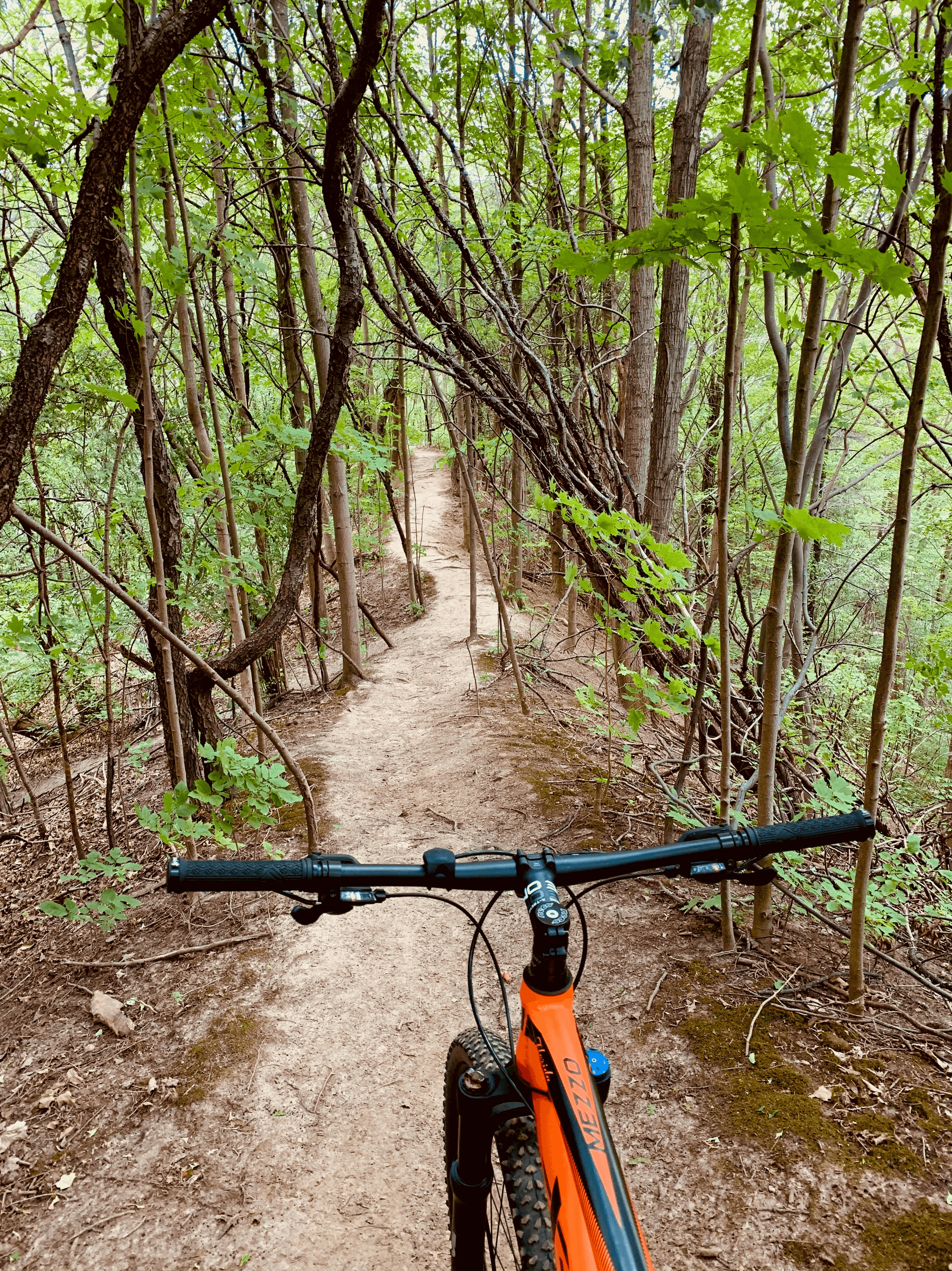 We partner with talented artists to create original tracks that inspire and motivate mountain bikers. Artist Collaborations What We Offer Website for promoting mountain bike music