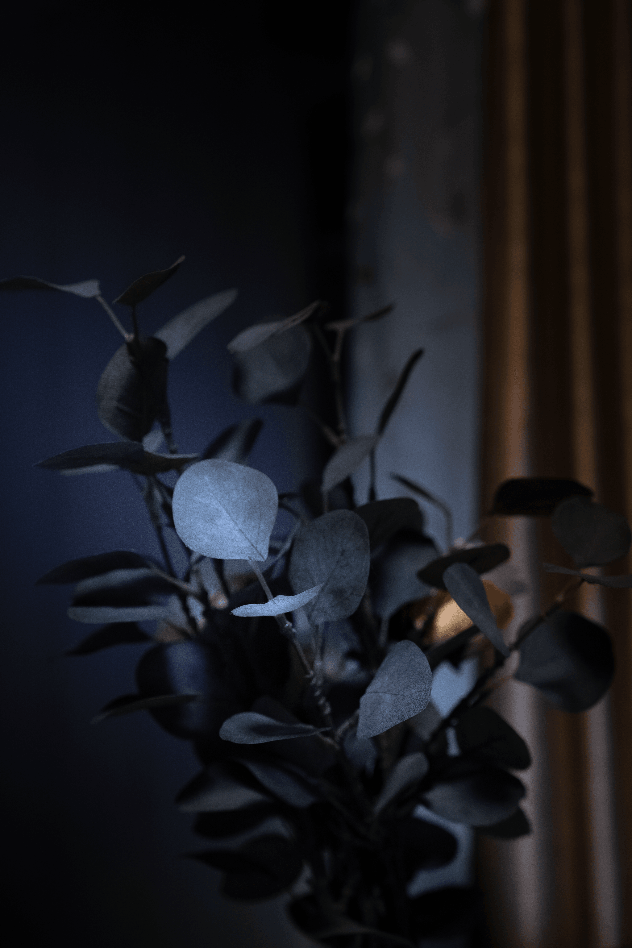 dried eucalyptus arrangement in rustic vase.