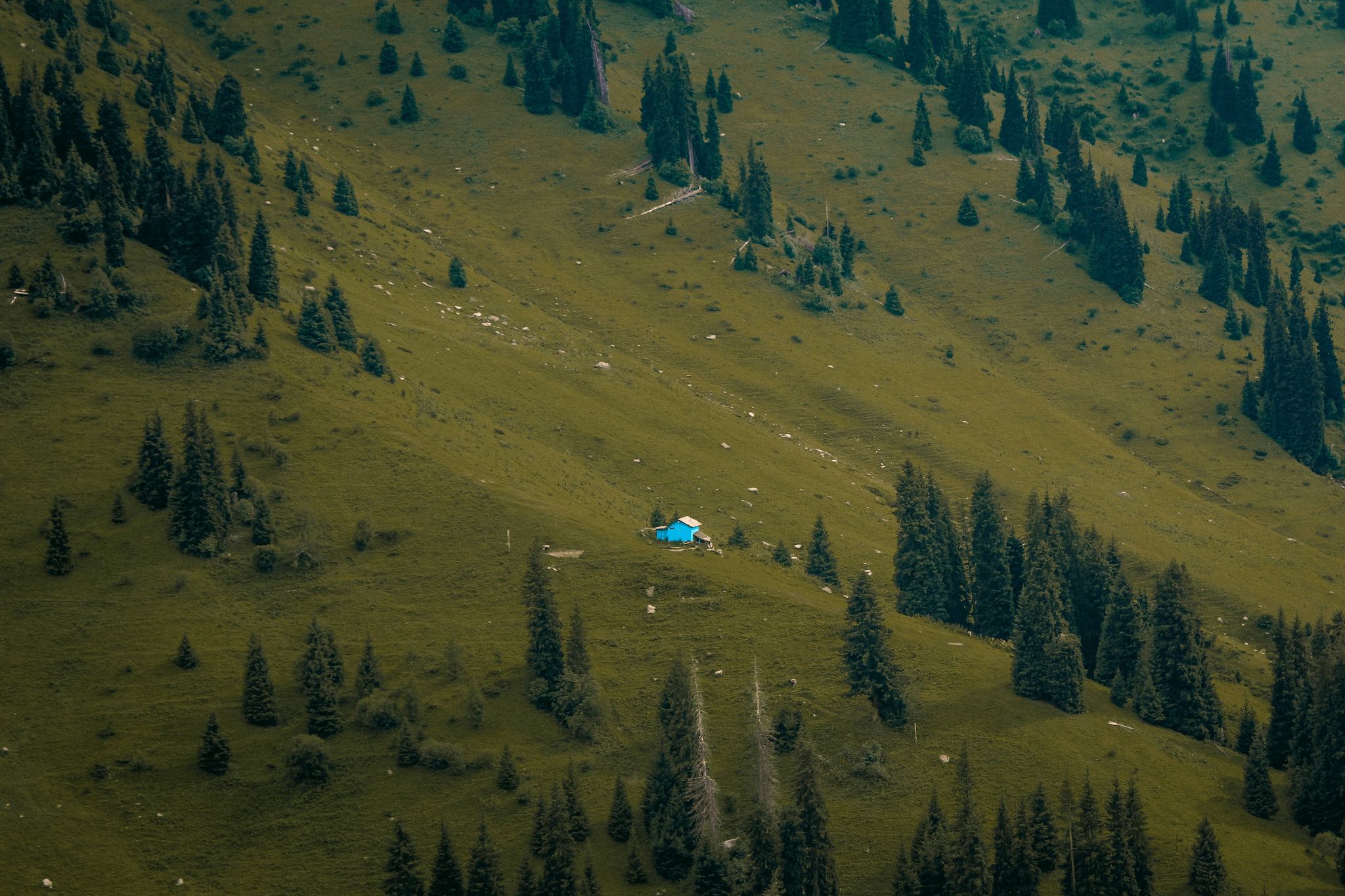 mining camp accommodation with luxurious glamping tents