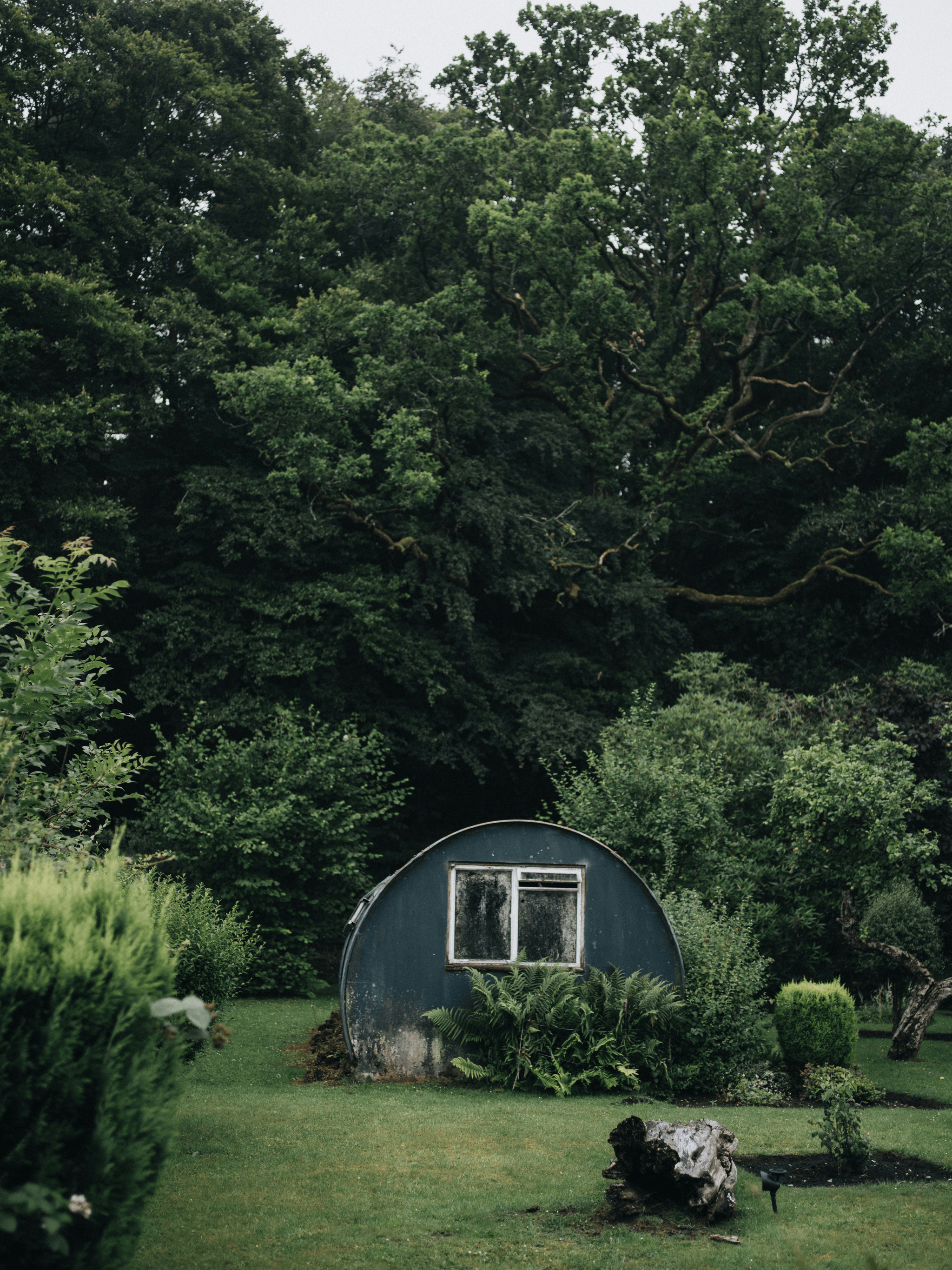 Durable Tuff Shed storage cabins nestled in nature