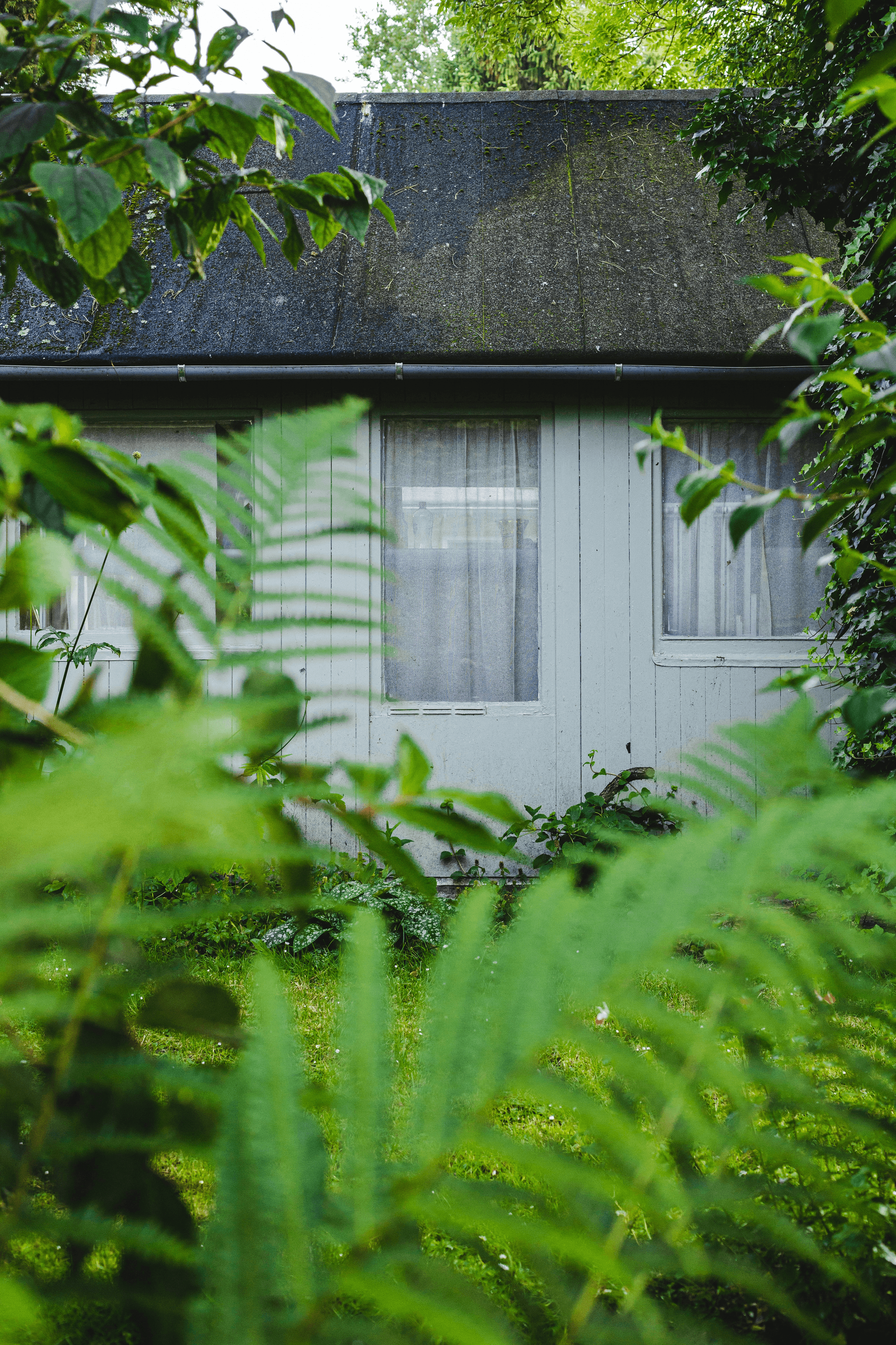 Modular cottages nestled in scenic surroundings