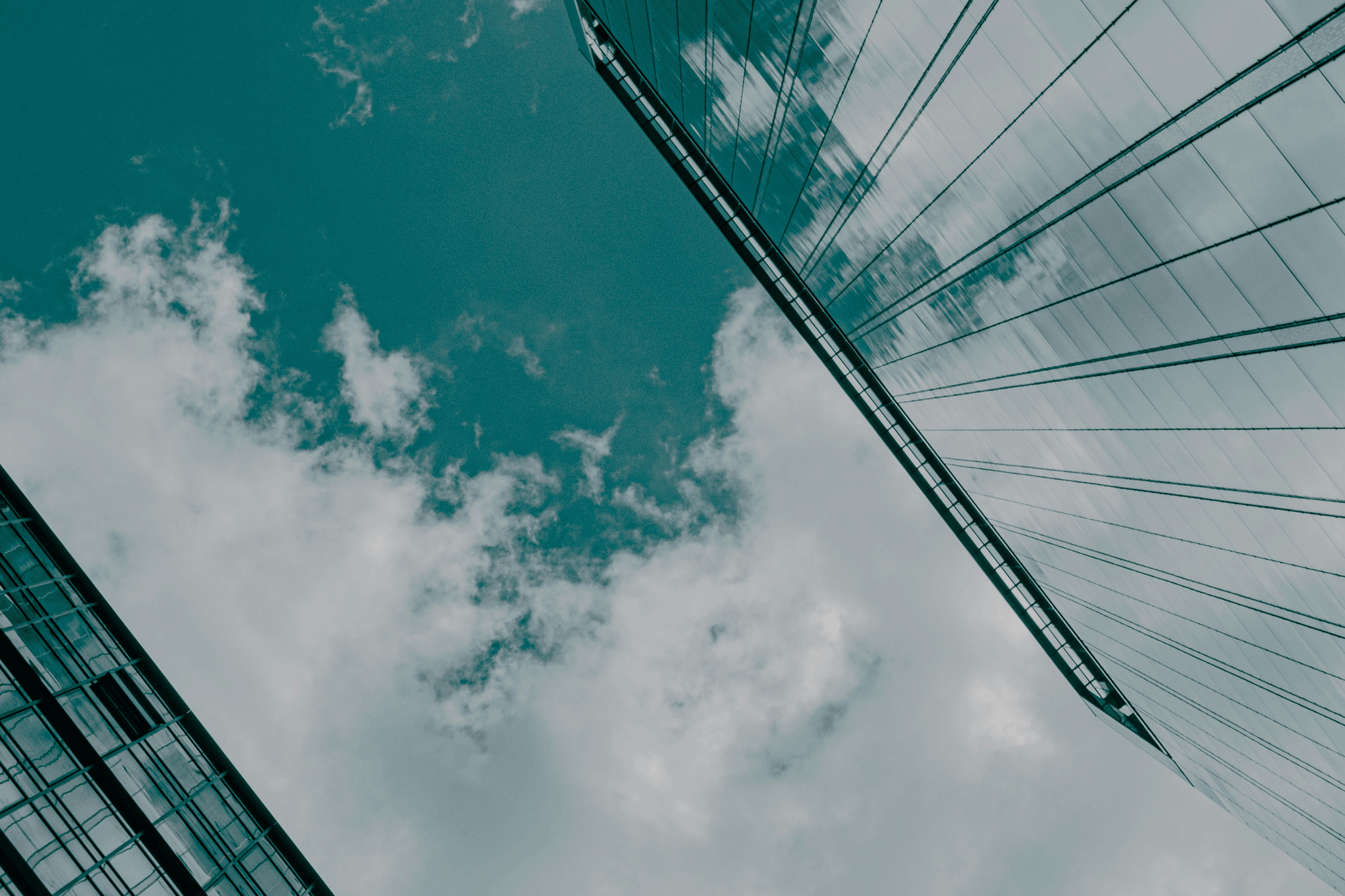 Bridge showcasing durability with galvanized metal wire support.