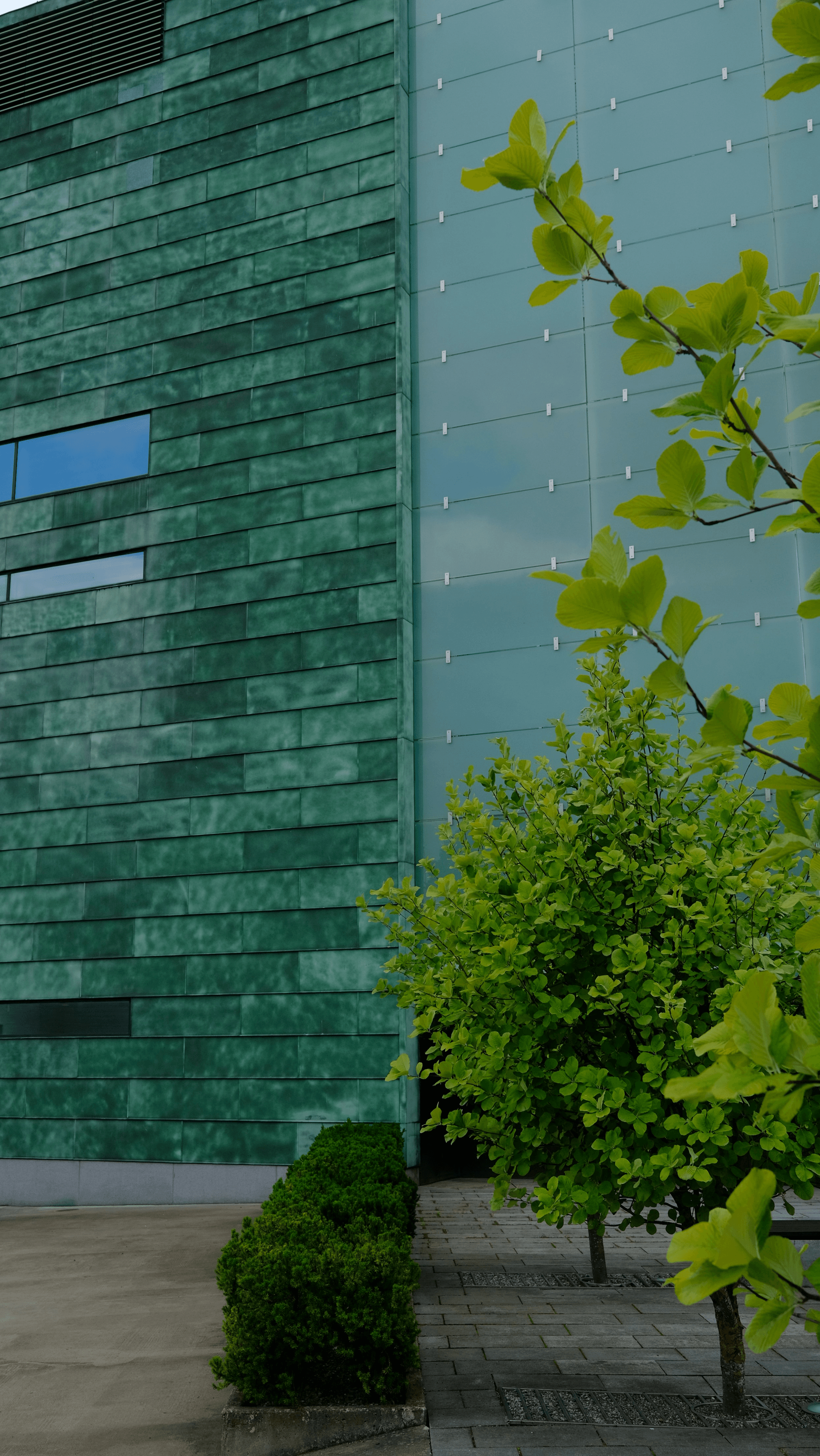 Eco friendly house LEED certification process