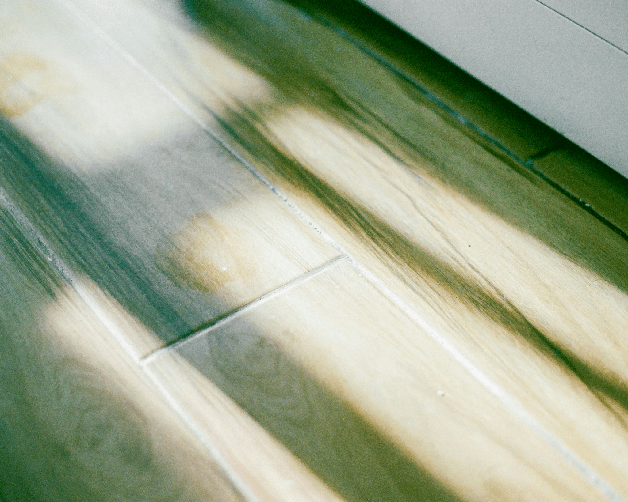 Discover Pet Friendly Flooring Types through sample testing.