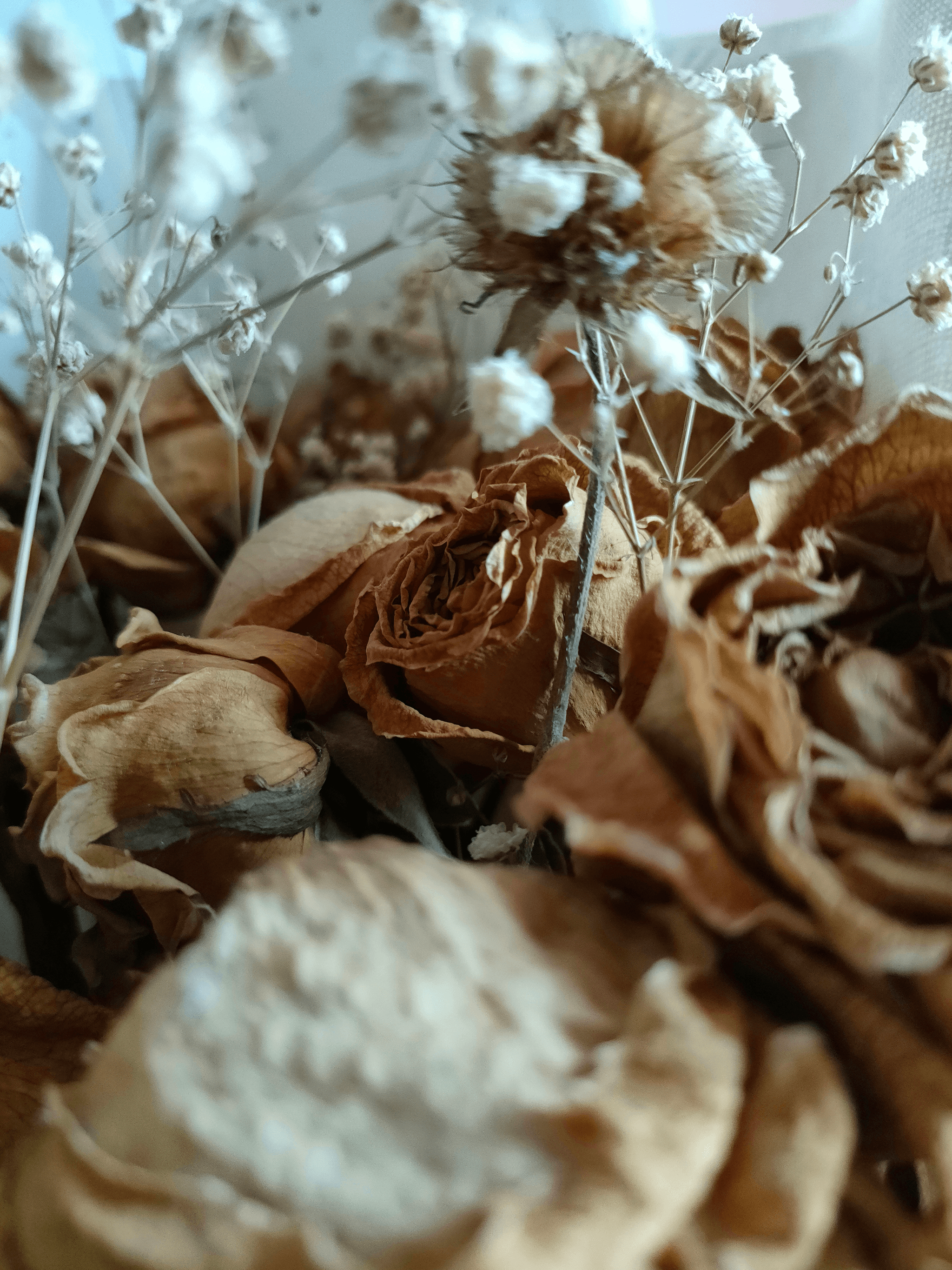 Send Dried Flower Bouquet Worldwide
