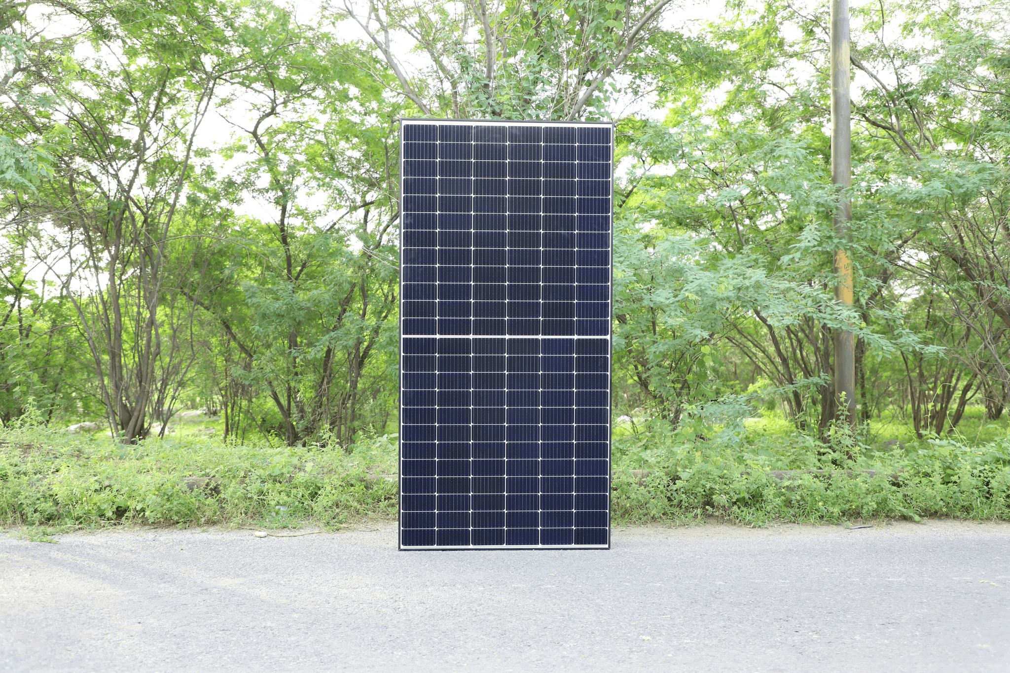 starre Solarmodule