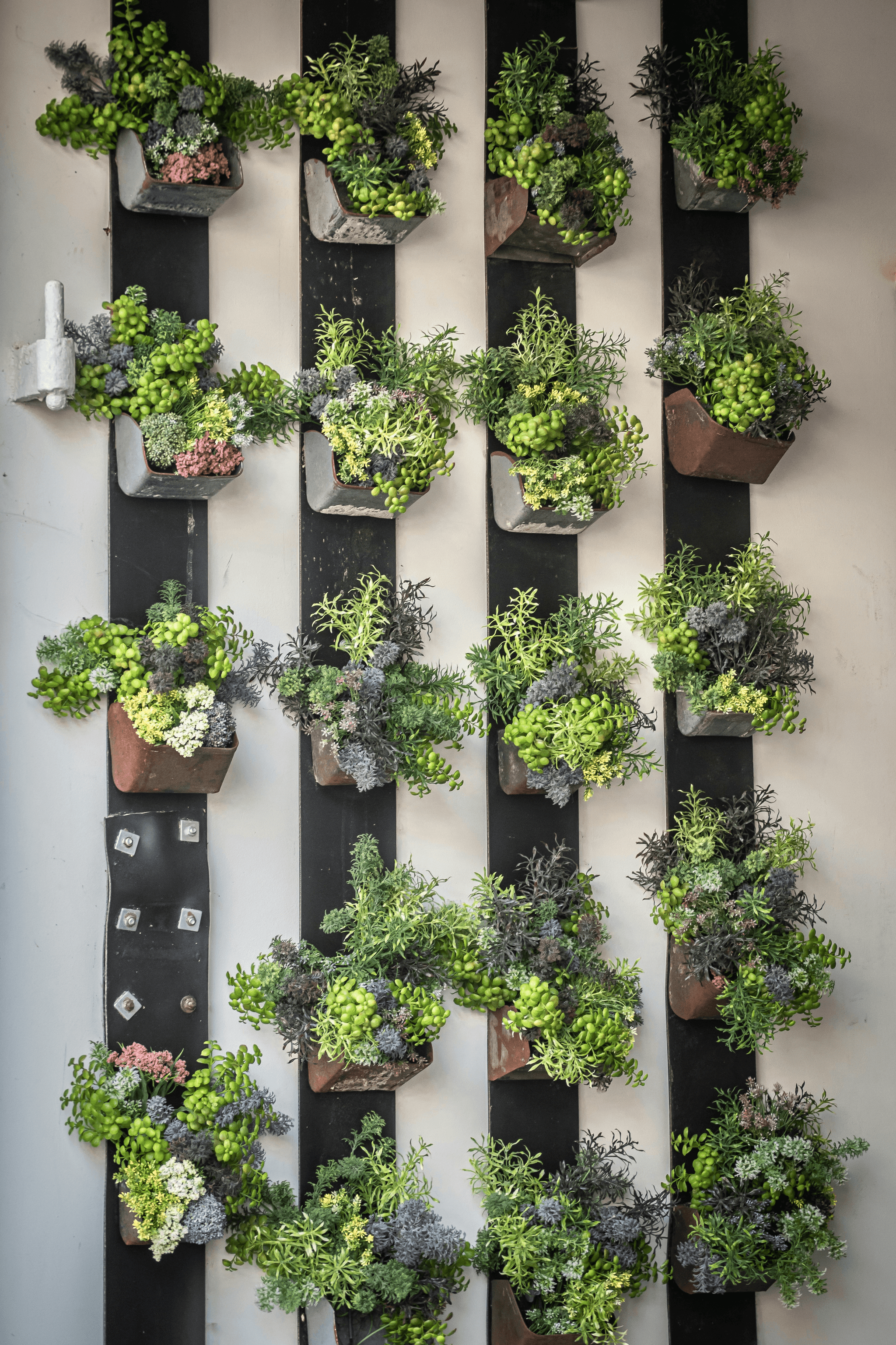 Beautiful vertical garden adding greenery to small houses
