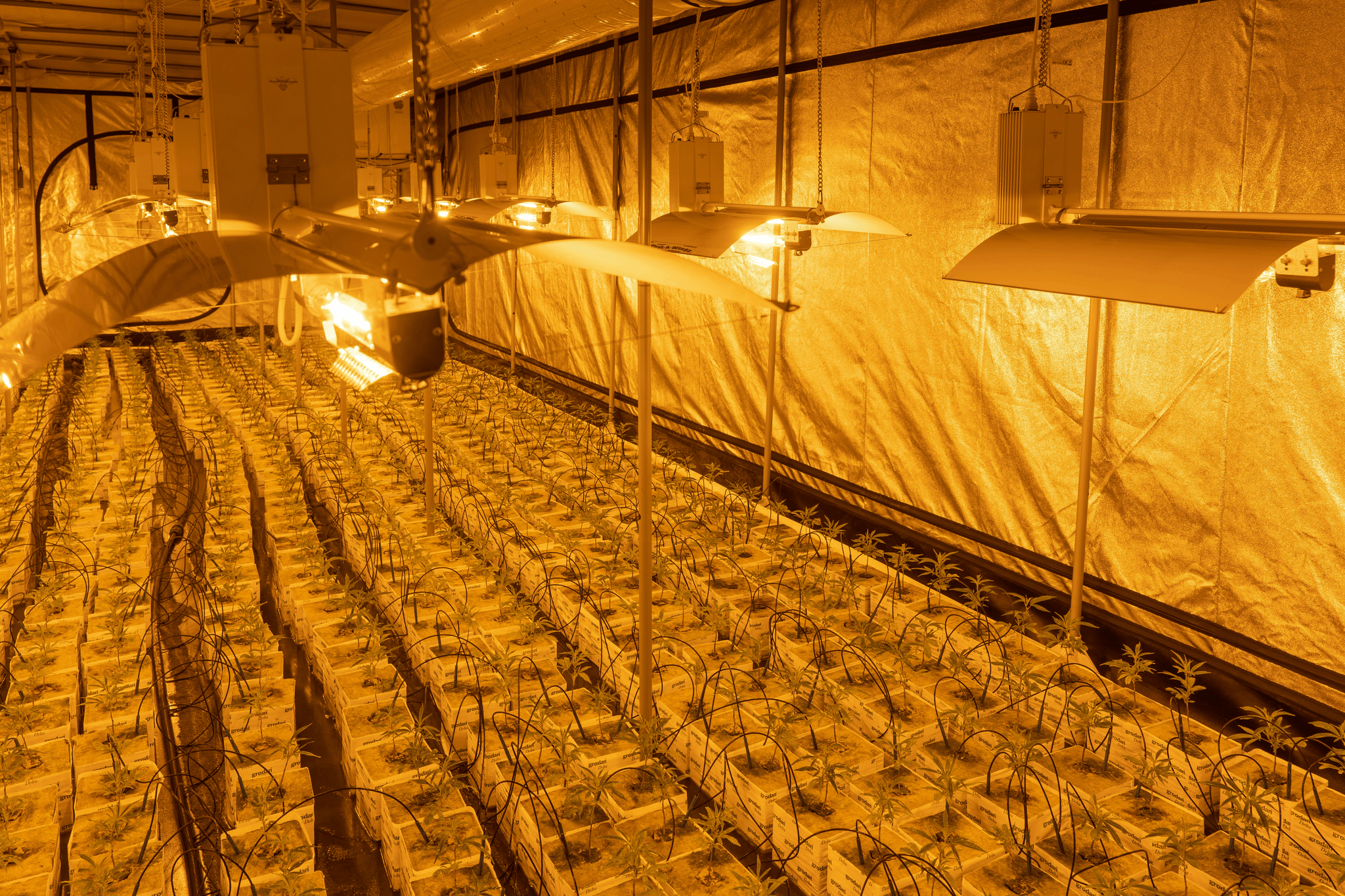 what is indoor vertical farming chiller explained through advanced cooling systems