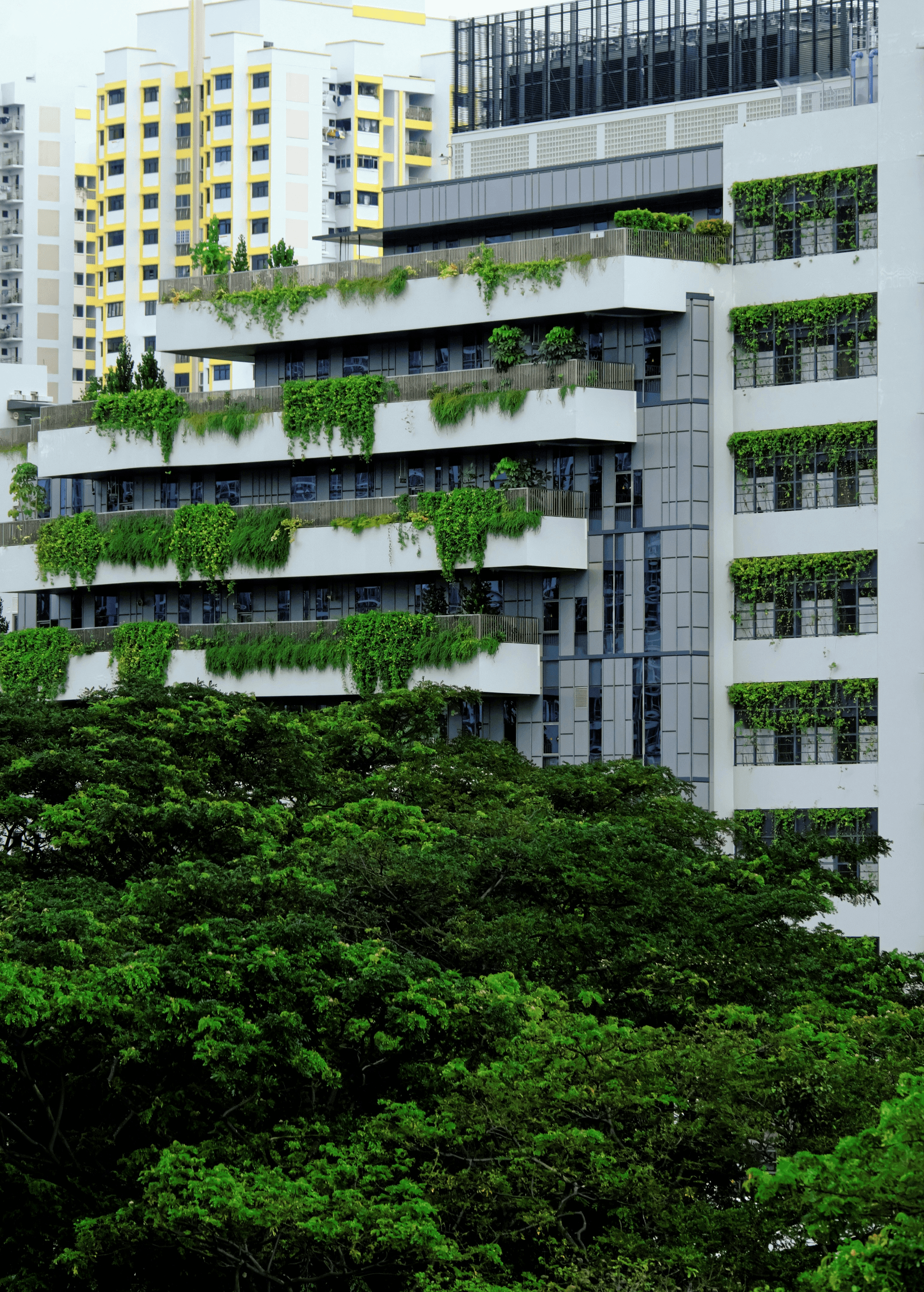 Modular apartment buildings with integrated green spaces