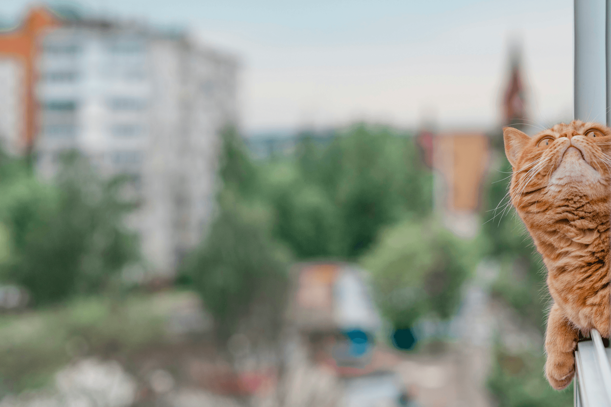 活動場地為什麼會限制人數？從共享空間的「人流計價邏輯」說起｜場地租借FAQ｜療寮生活館｜江子翠．板橋 活動場地 藝文空間