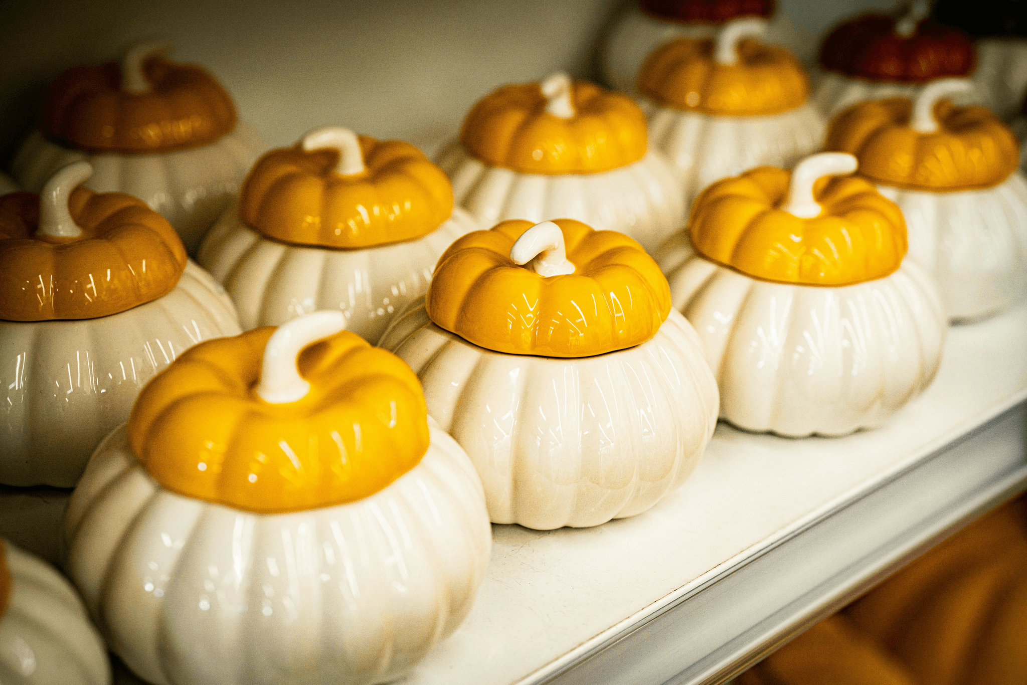 Fall Faves