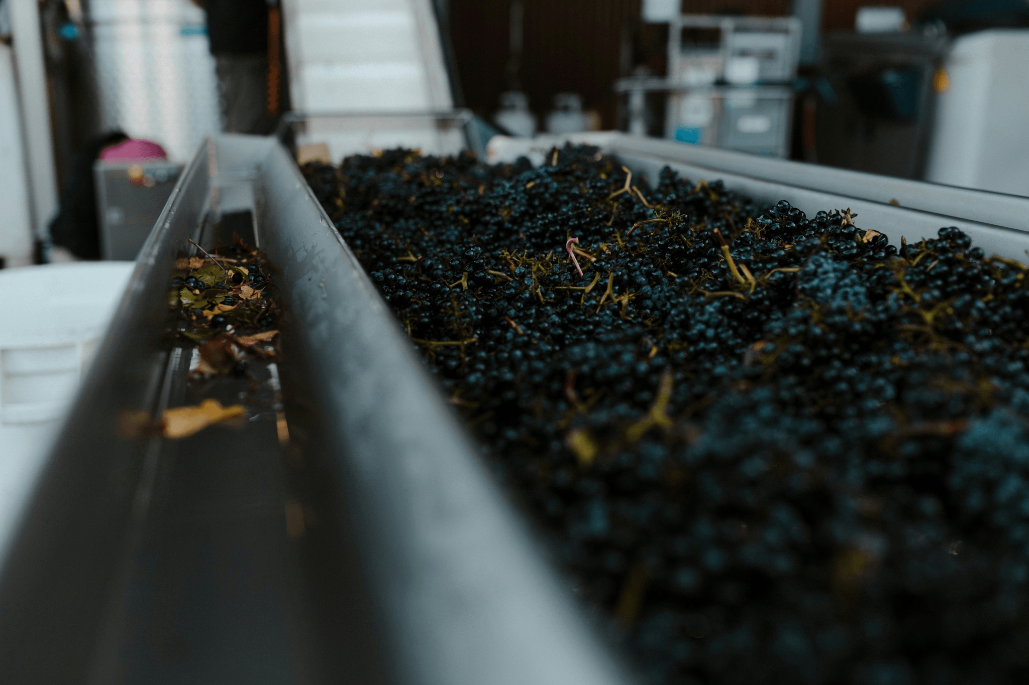 Explore Premium Wines and Spirits Discover Our Exquisite Offerings Founded in France in 2017, Les Grands Châteaux is an independent wine and spirits group dedicated to the creation, development and international distribution of premium brands rooted in French terroirs.Our activities span estate wines, branded collections, cider and spirits, combining agricultural expertise with brand strategy and global market access.